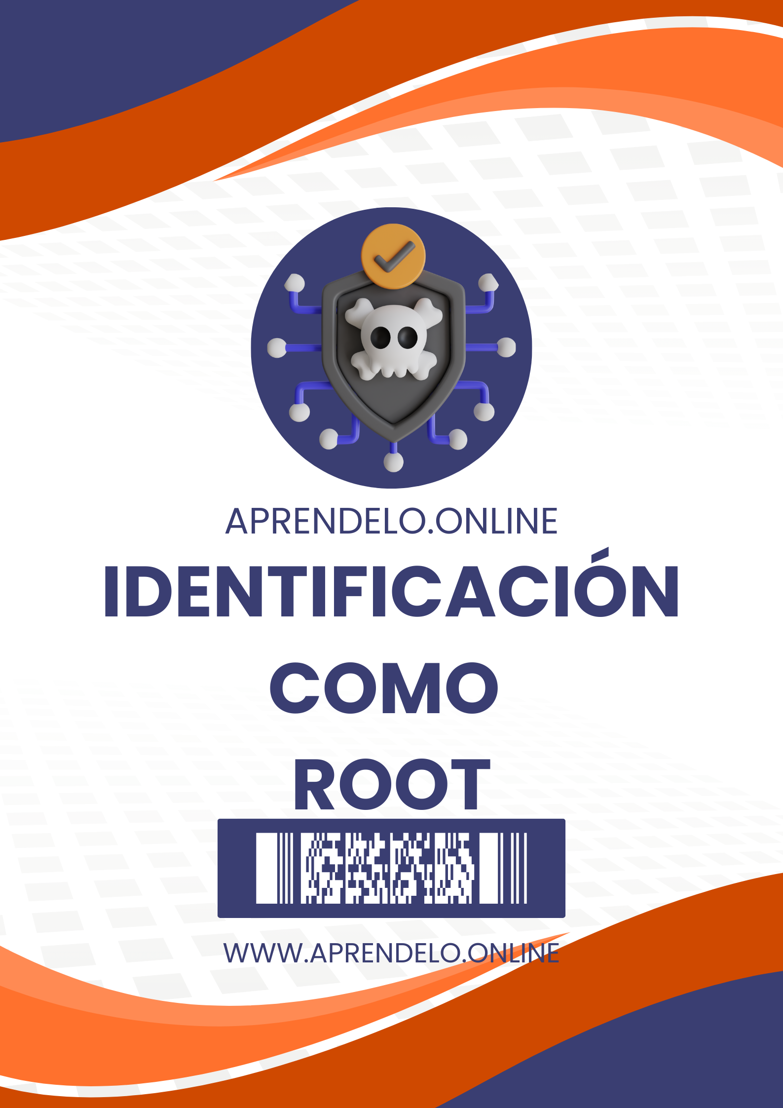 Image Identificación como Root