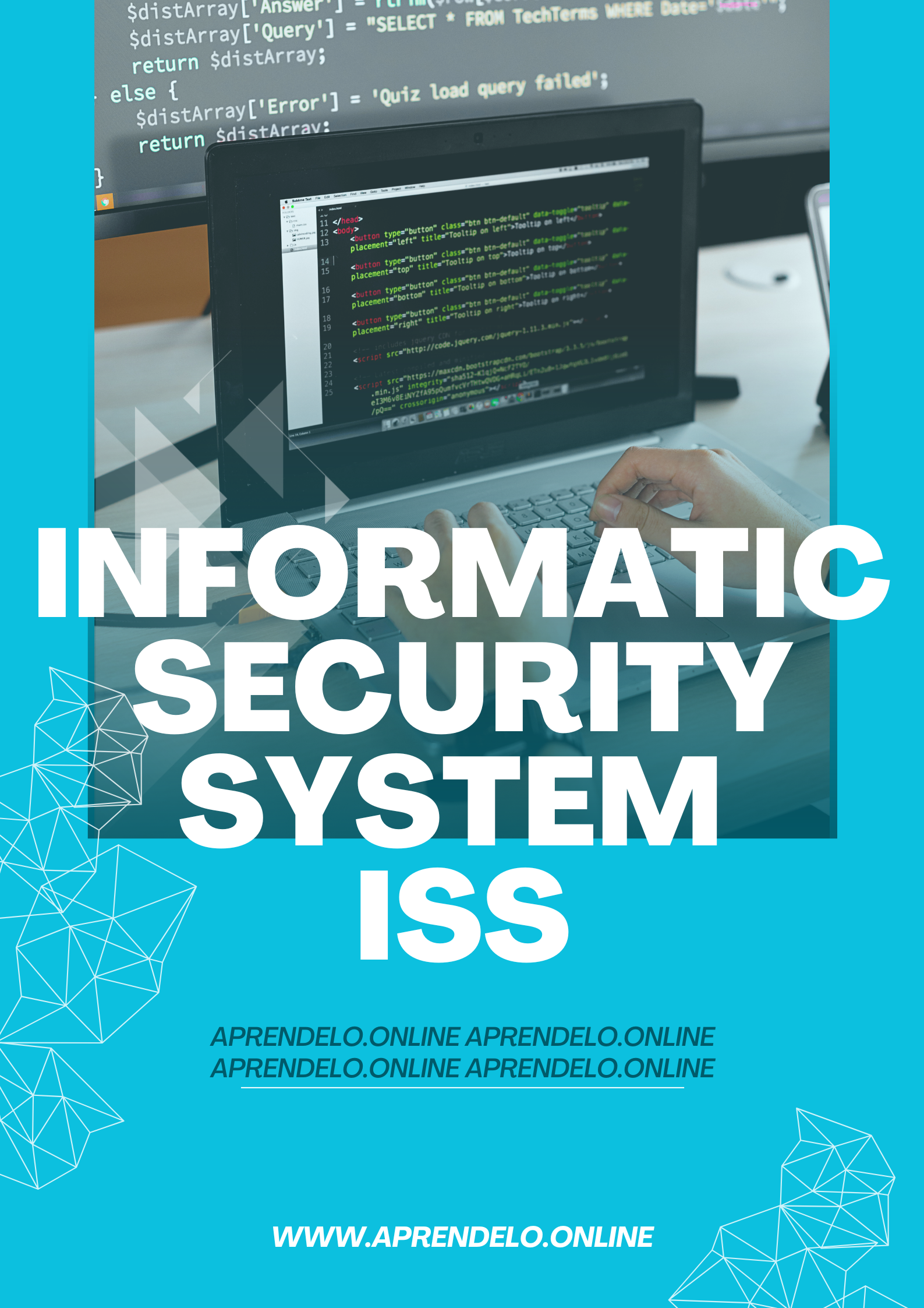 Image Informatic Security System ISS