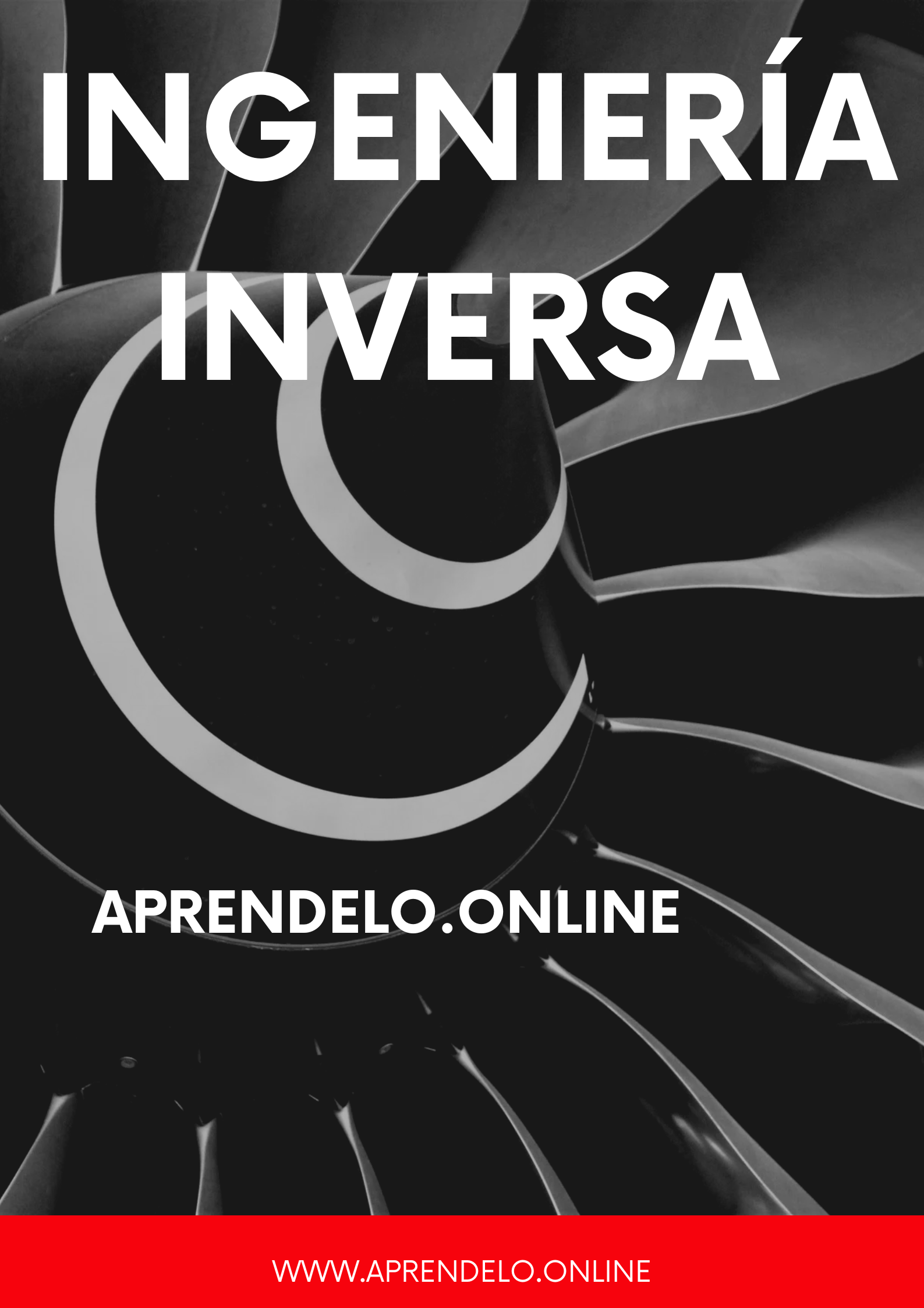 Image Ingeniería Inversa
