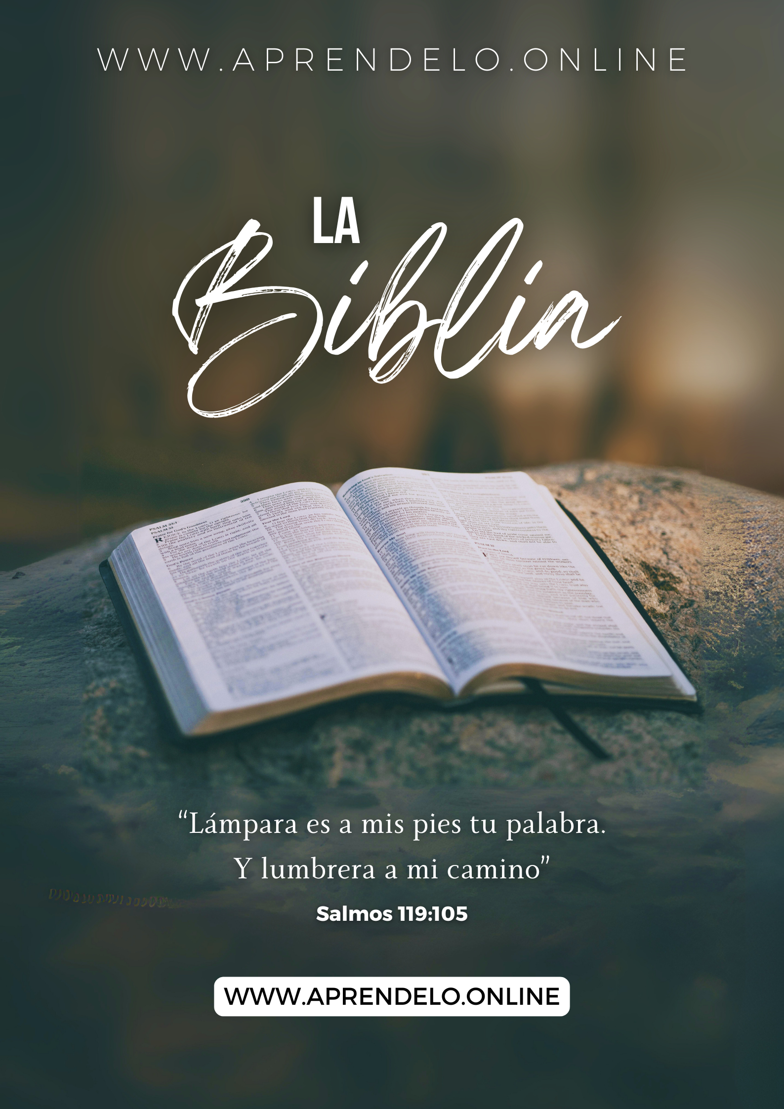 Image La Biblia