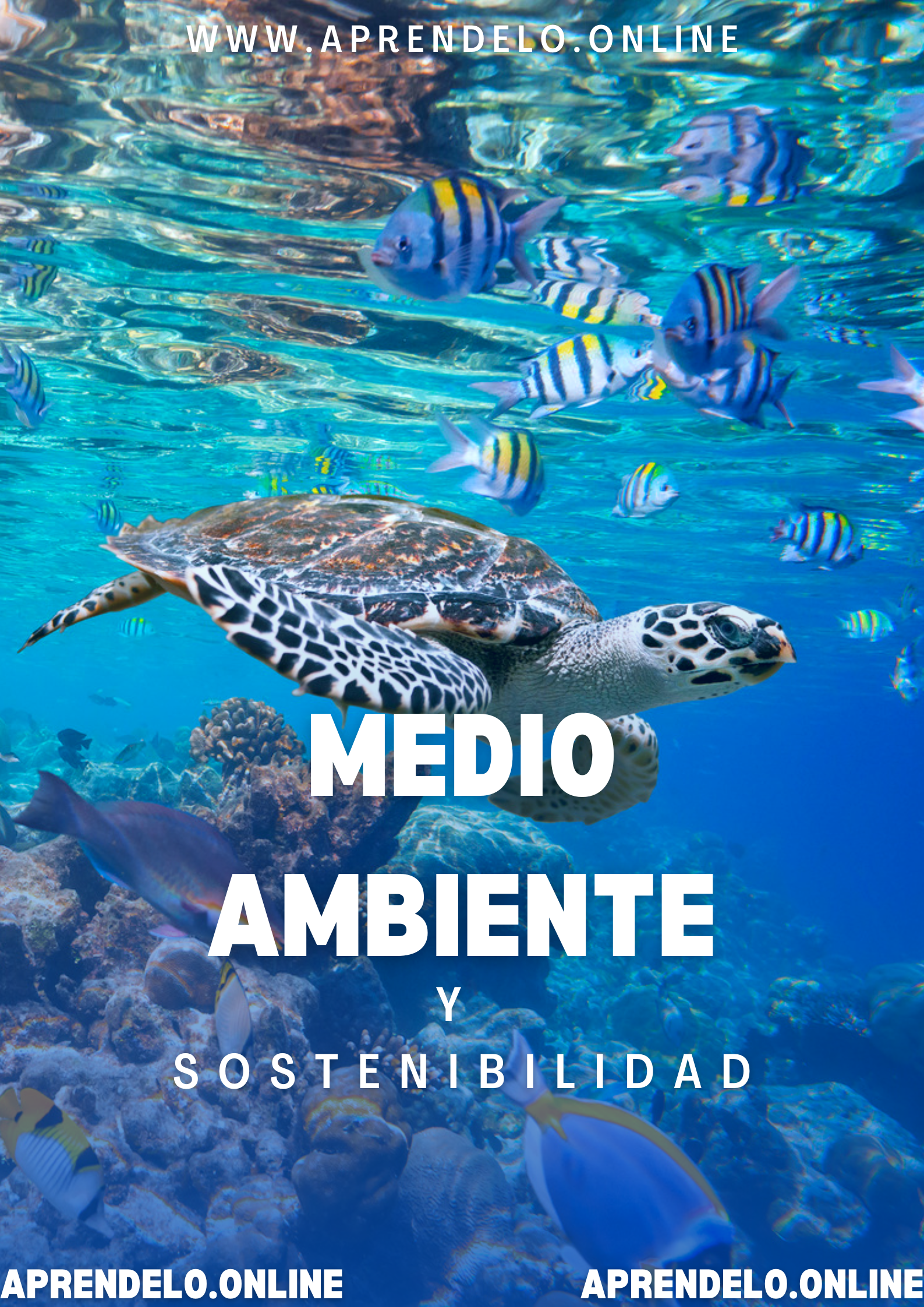 Image Medio Ambiente y Sostenibilidad