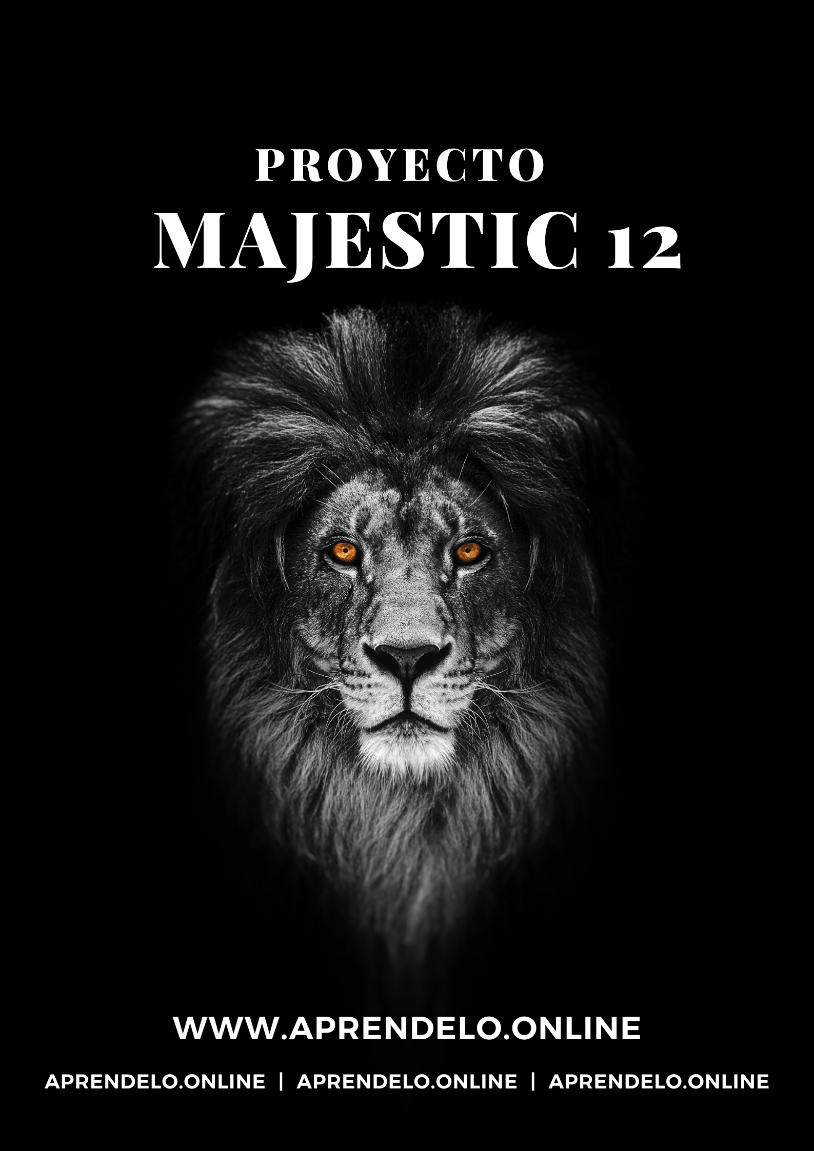 Image Proyecto Majestic 12