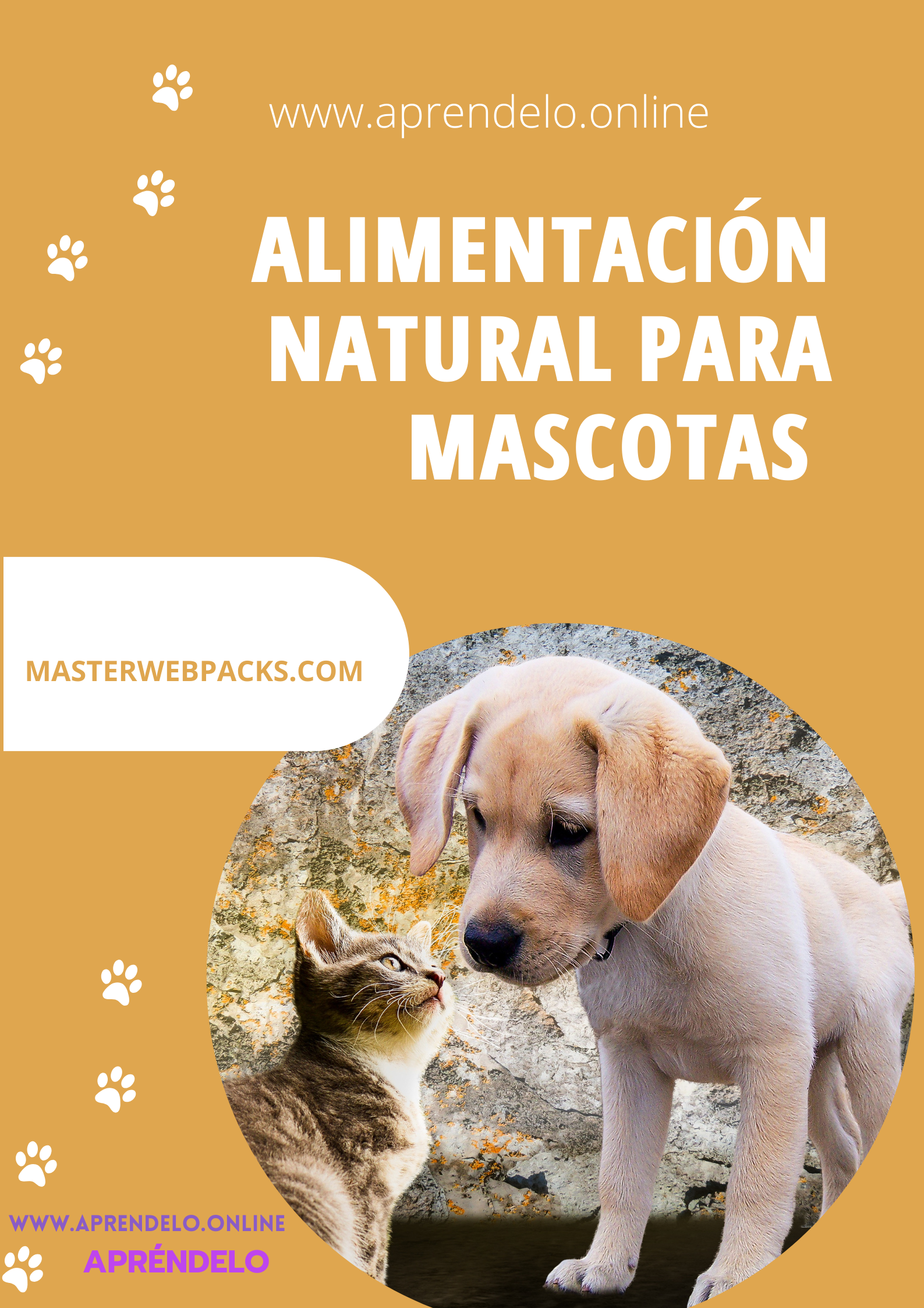 Image Alimentación Natural para Mascotas - masterwebpacks.com