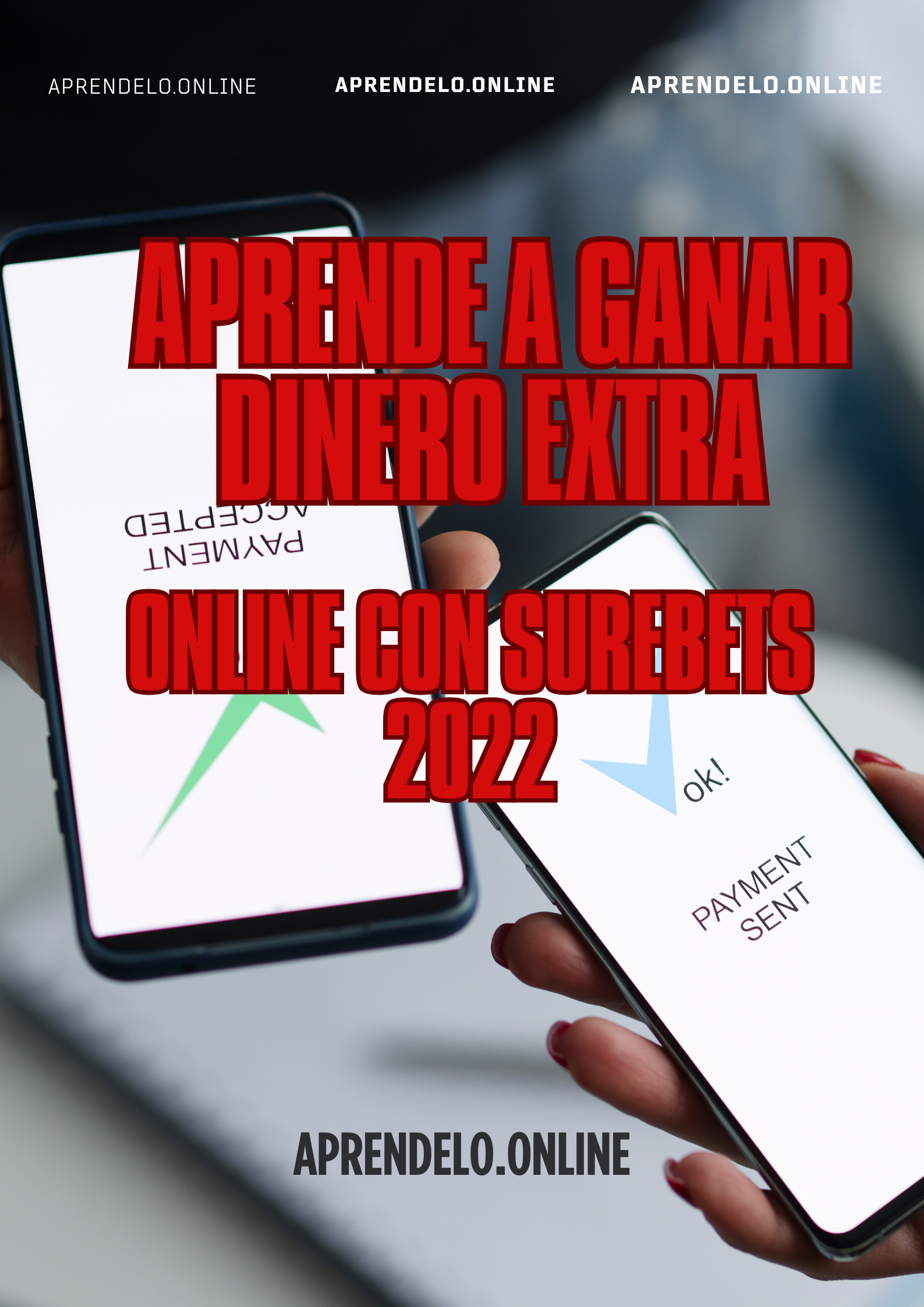 Image Aprende a ganar dinero extra online con surebets 2022