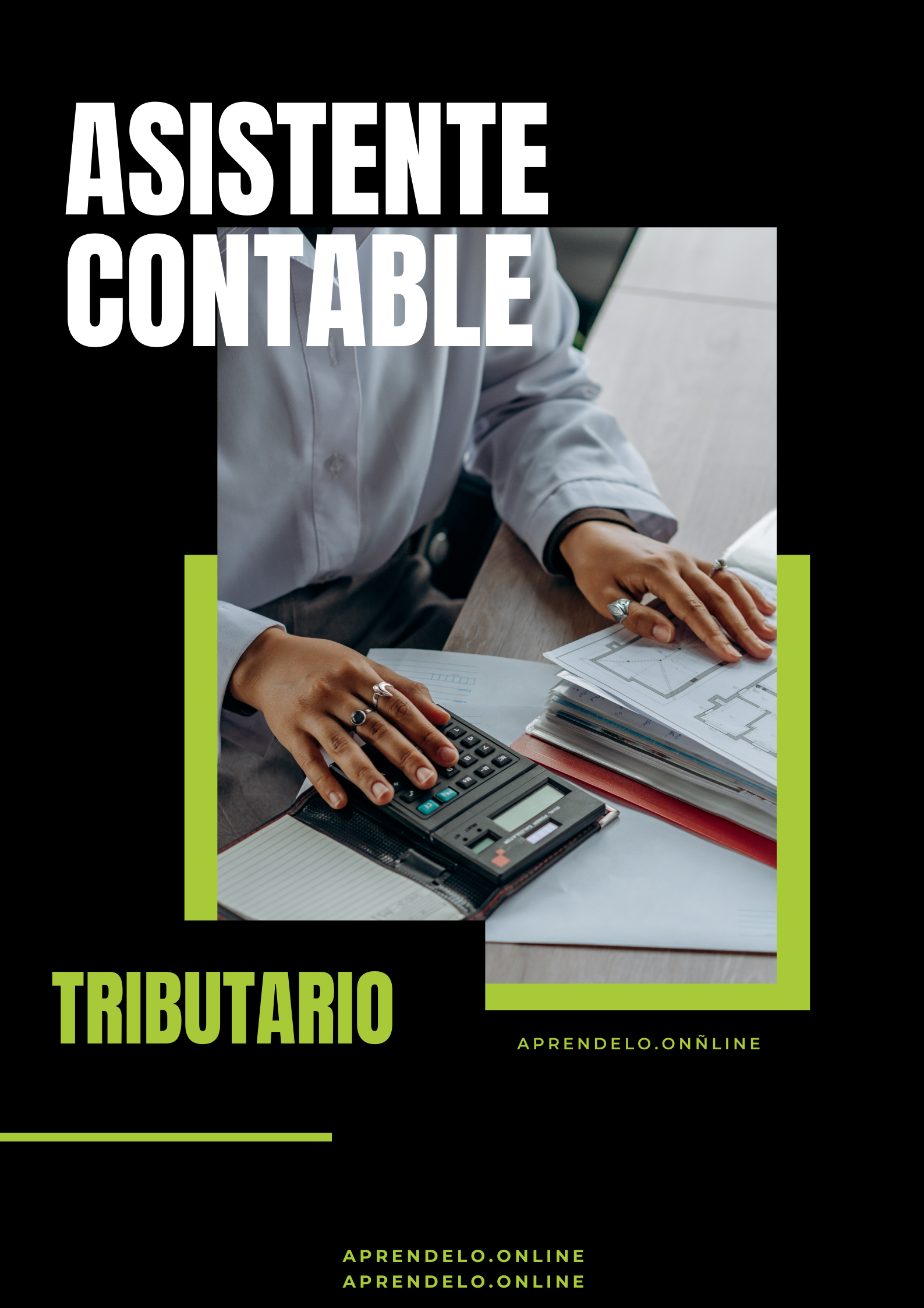 Image Asistente contable - Tributario