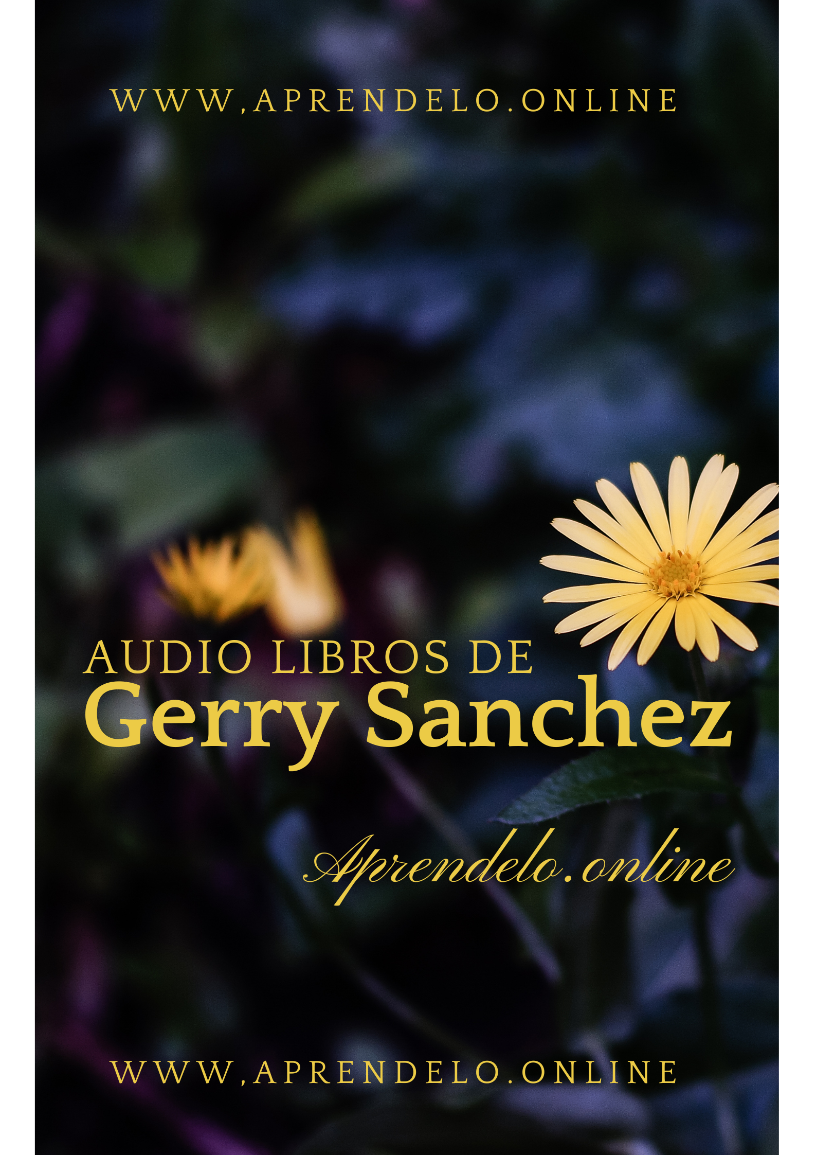 Image Audio libros de Gerry Sánchez