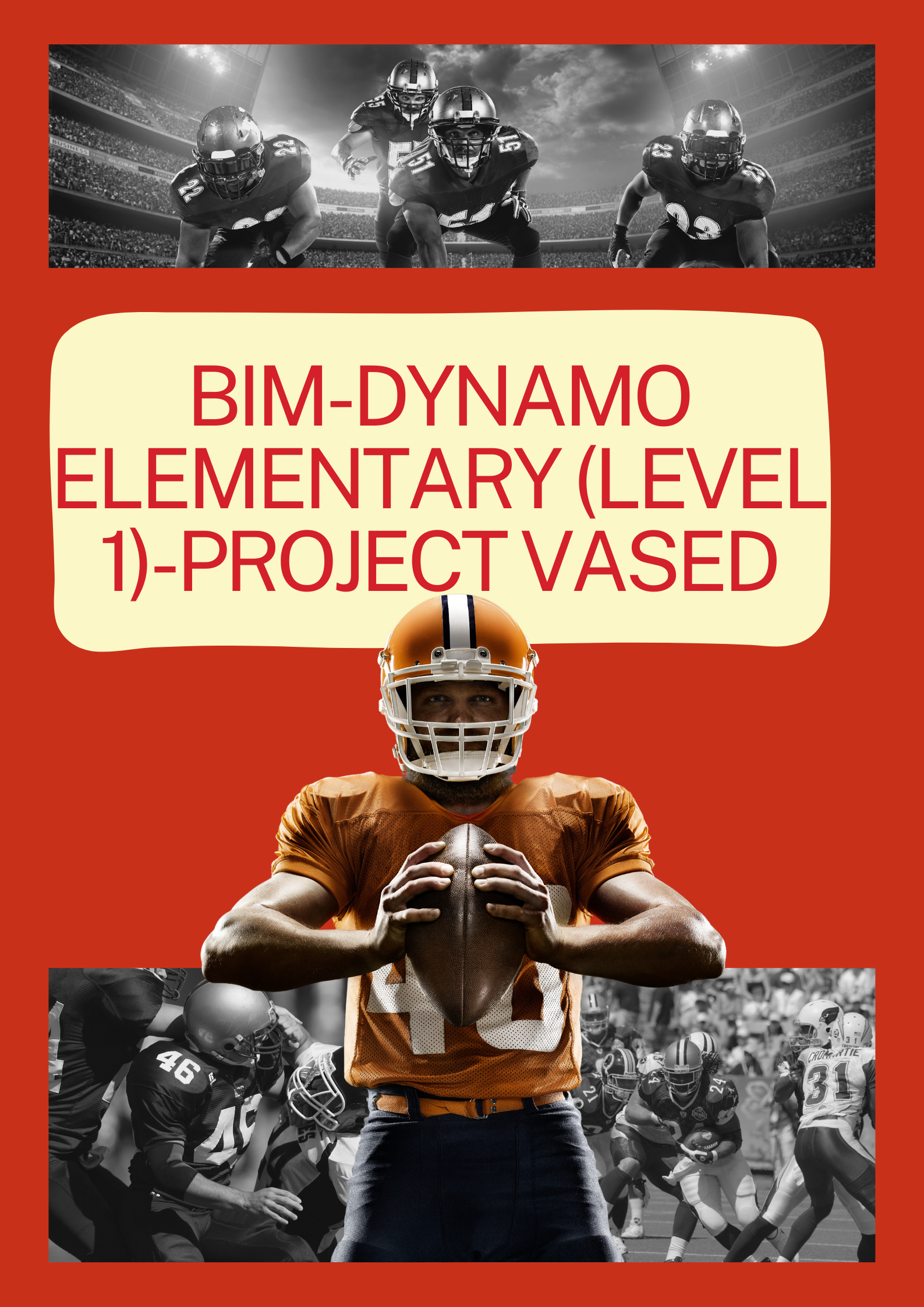 Image BIM-Dynamo Elementary (Level 1)-Project Vased