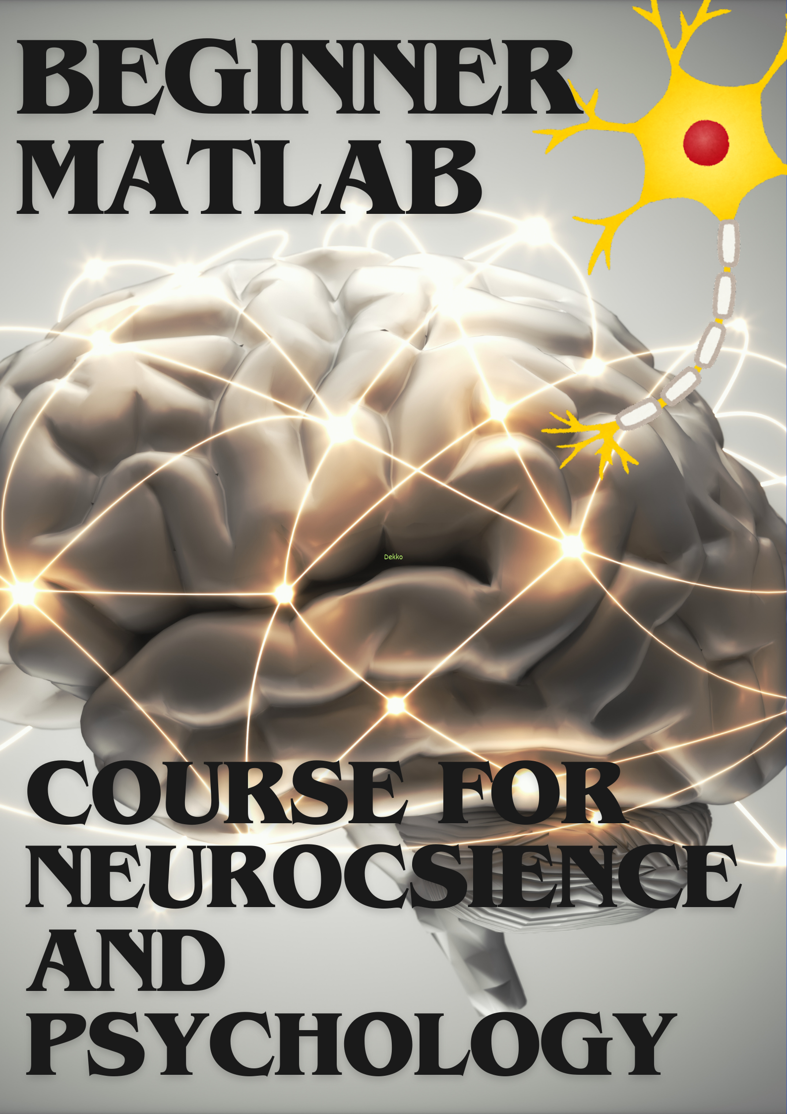Image Beginner MATLAB course for Neurocsience and Psychology