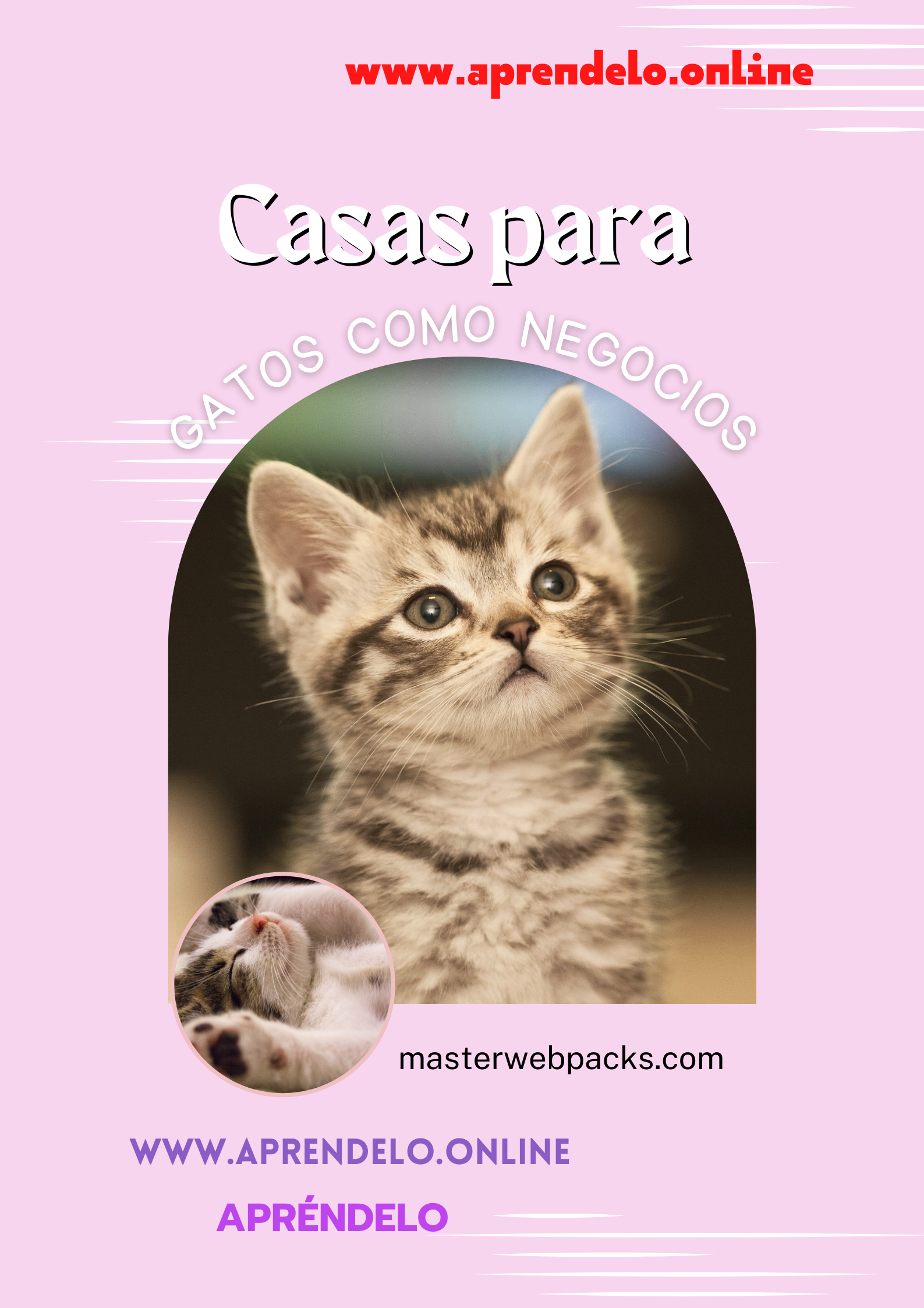 Image Casas para gatos como negocios - masterwebpacks.com