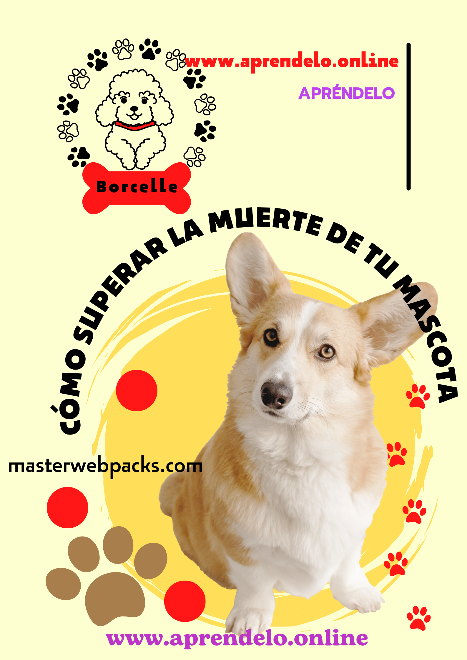 Image Cómo superar la muerte de tu mascota - masterwebpacks.com