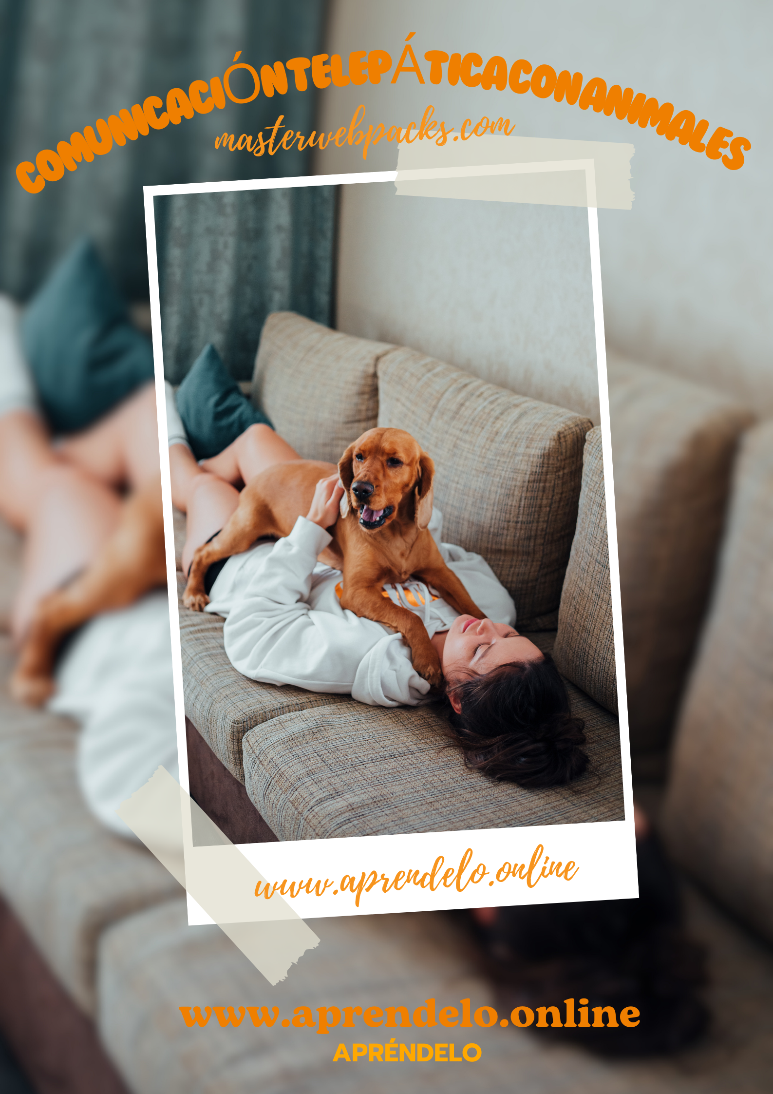 Image Comunicación telepática con Animales - masterwebpacks.com