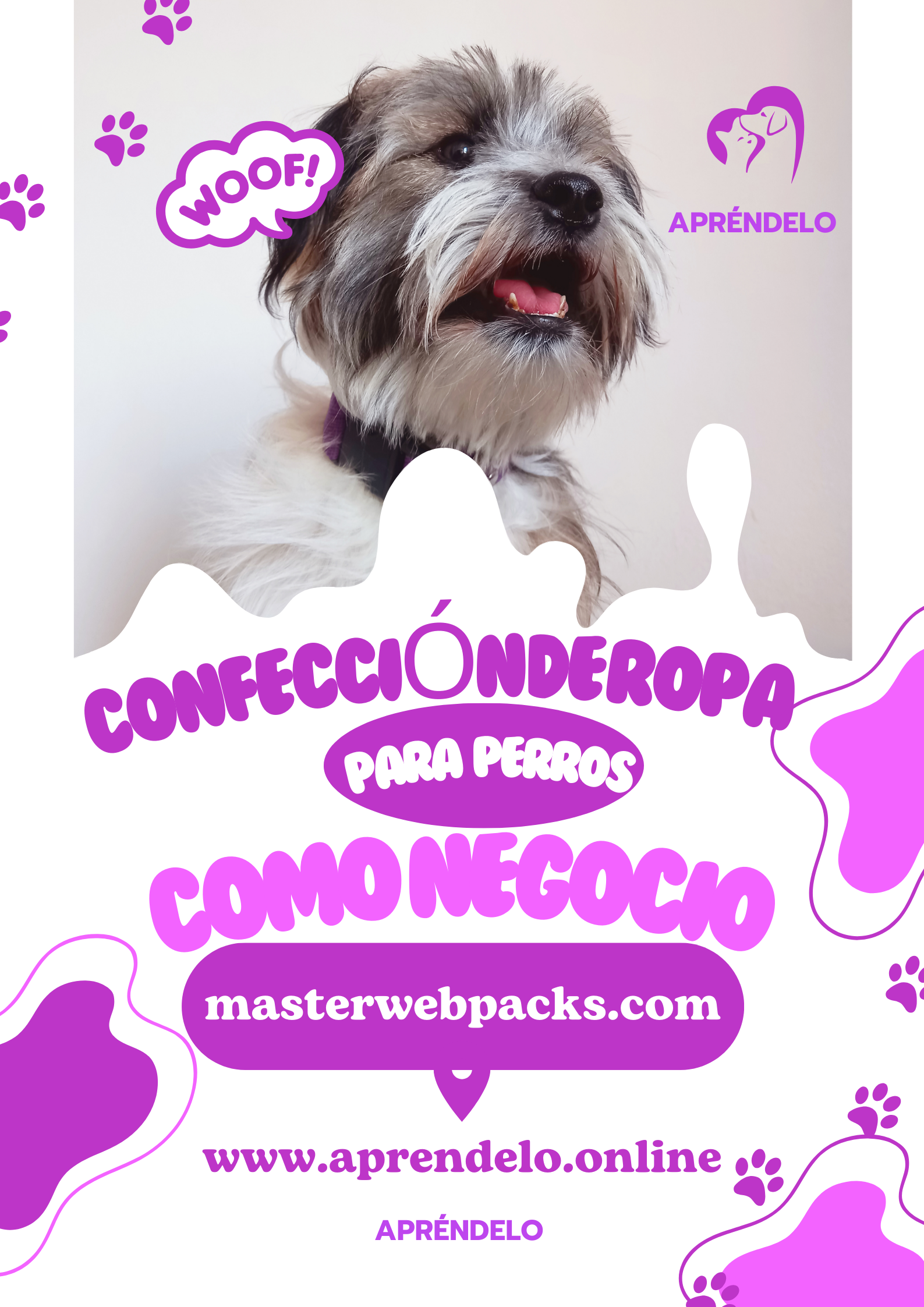 Image Confección de Ropa para perros como Negocio - masterwebpacks.com