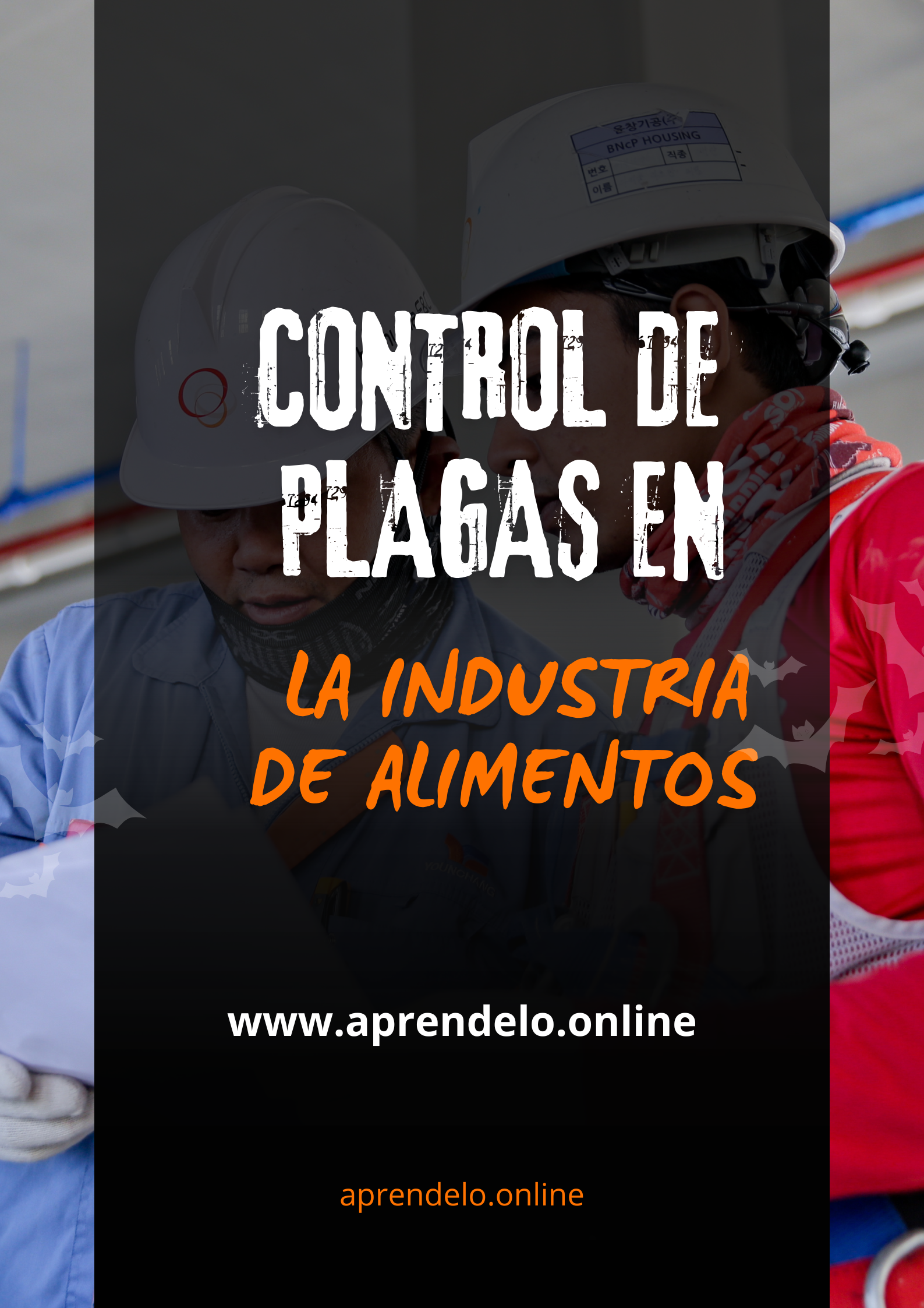 Image Control de plagas en la industria de alimentos