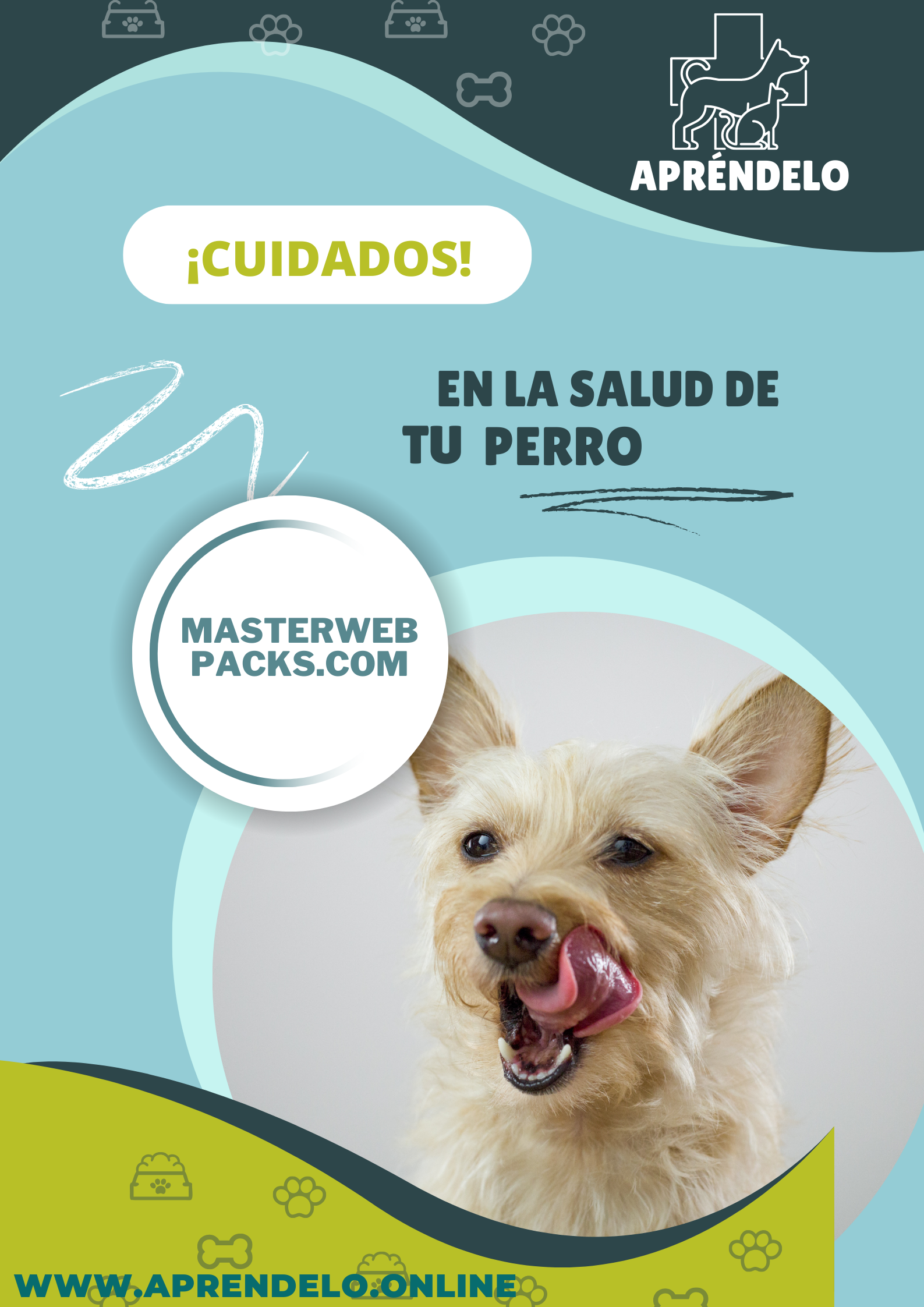 Image Cuidados en la salud de tu perro - masterwebpacks.com