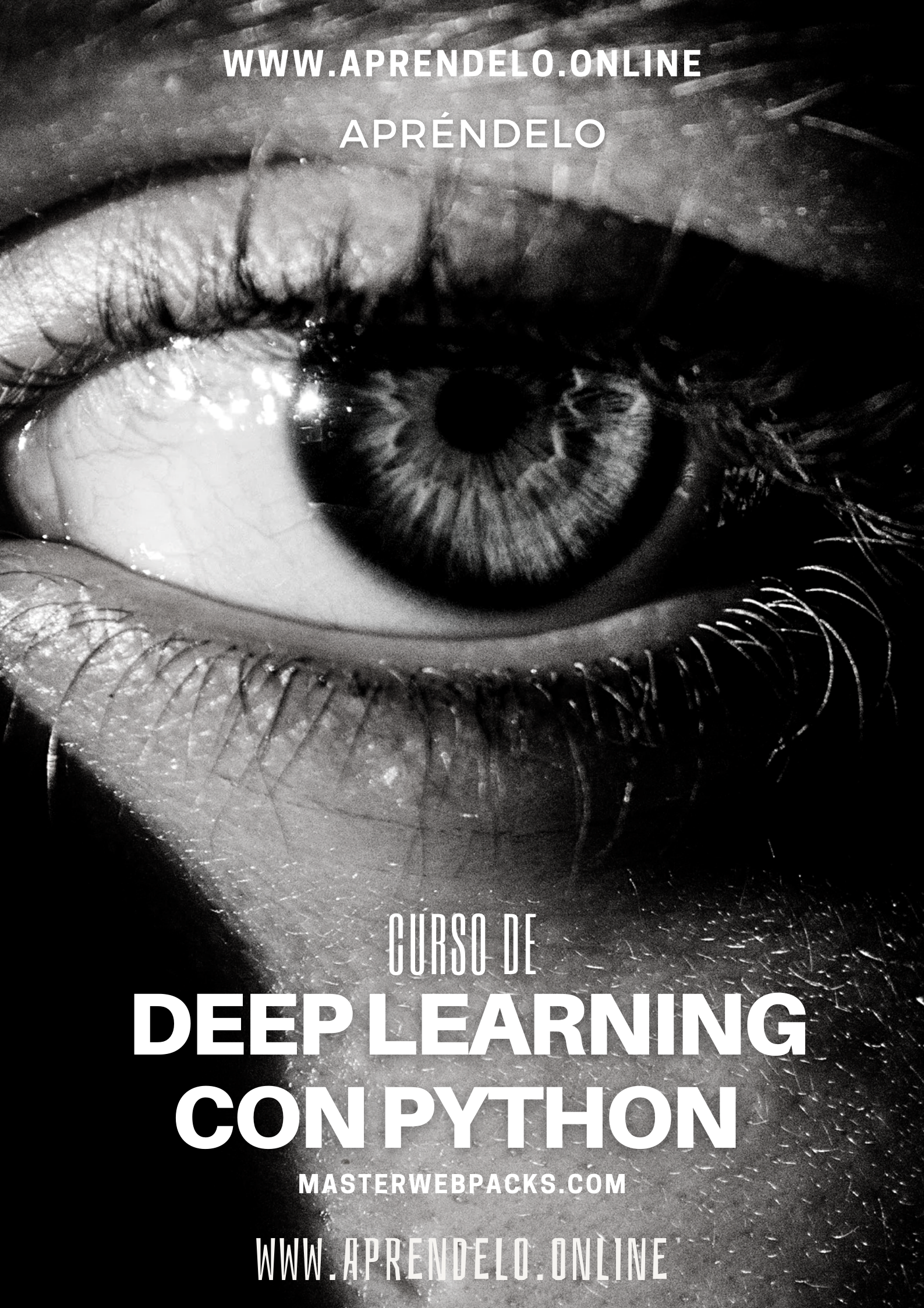 Image Curso de Deep Learning con Python - masterwebpacks.com