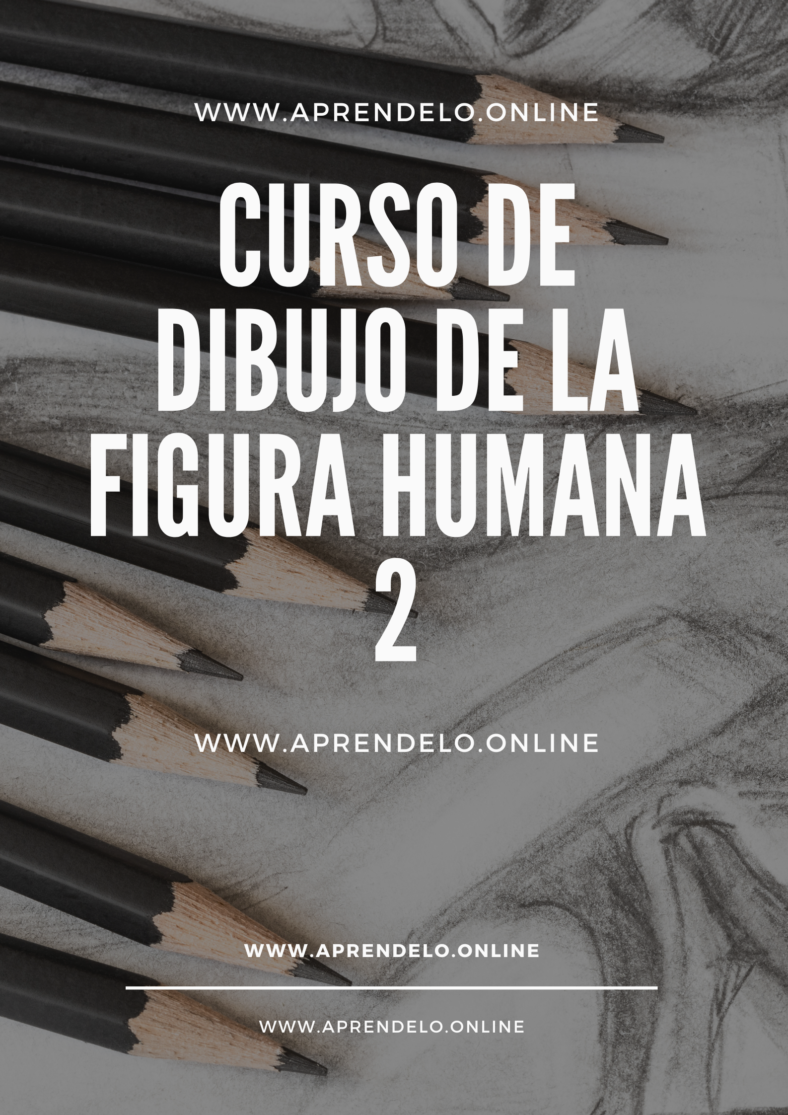 Image Curso de dibujo de la figura humana 2