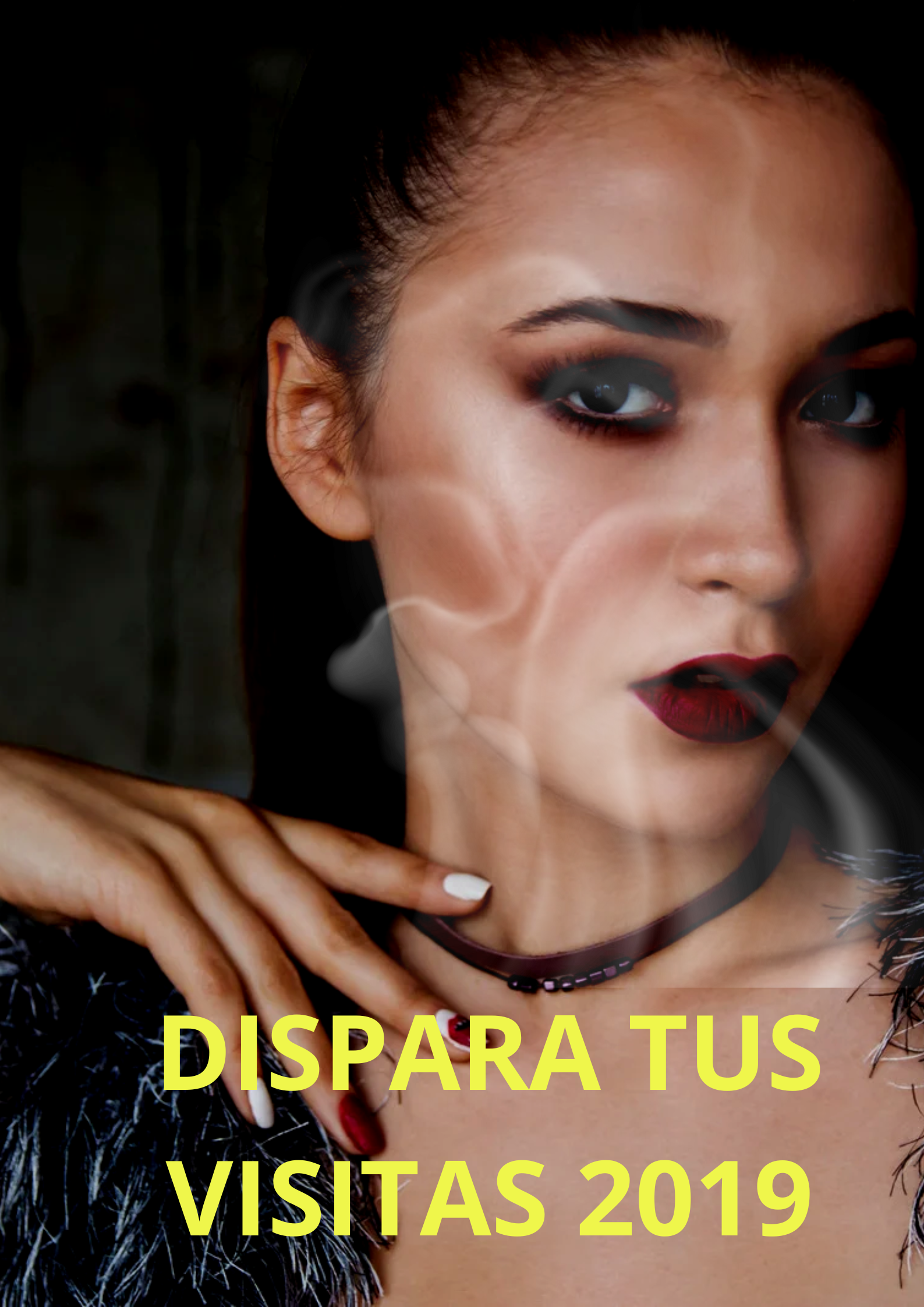 Image DISPARA TUS VISITAS 2019