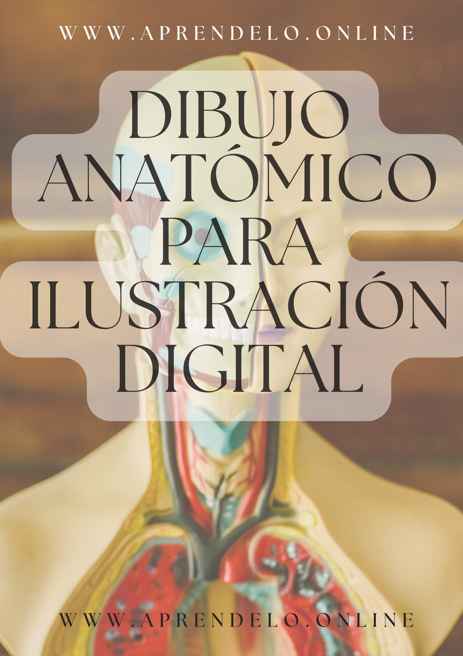 Image Dibujo anatómico para ilustración digital