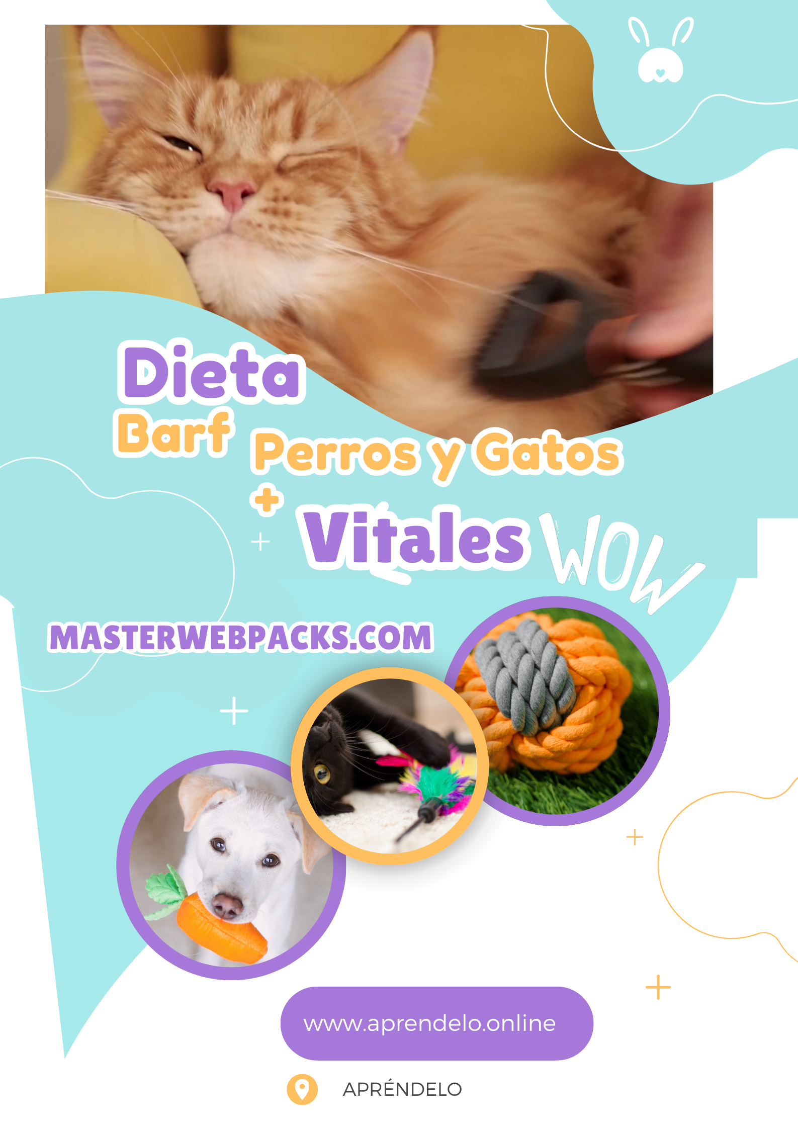 Image Dieta Barf Perros y Gatos + Vitales - masterwebpacks.com