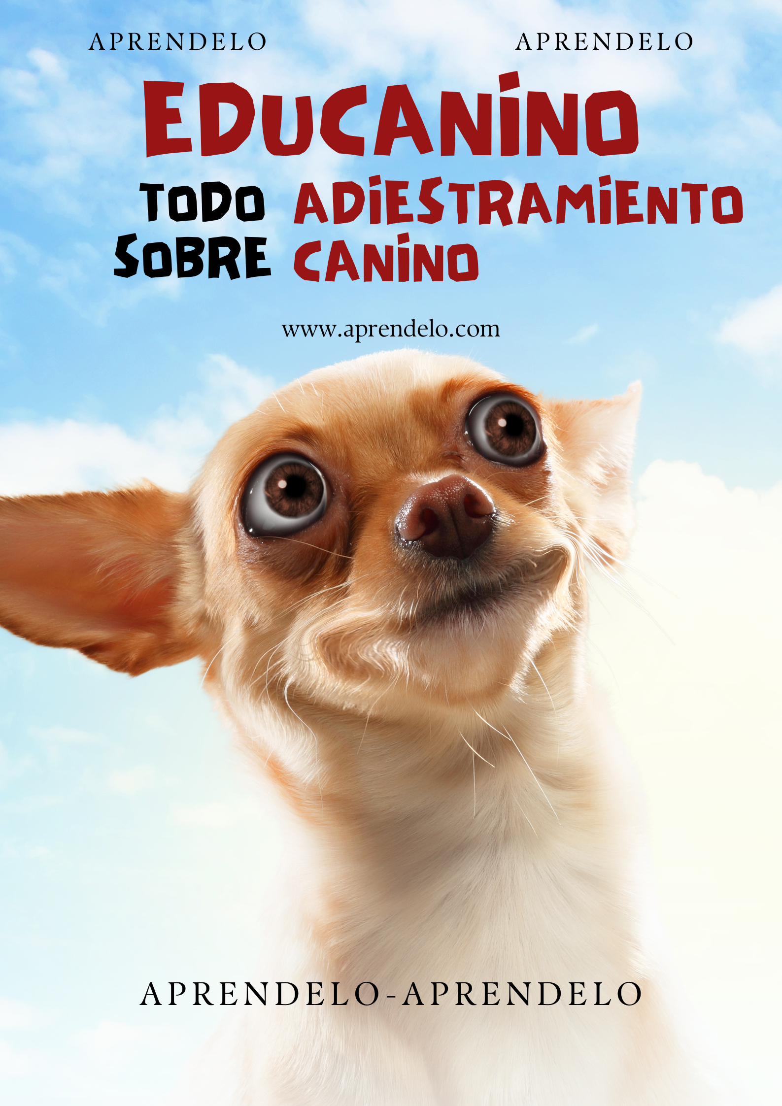 Image Educanino todo sobre adiestramiento canino