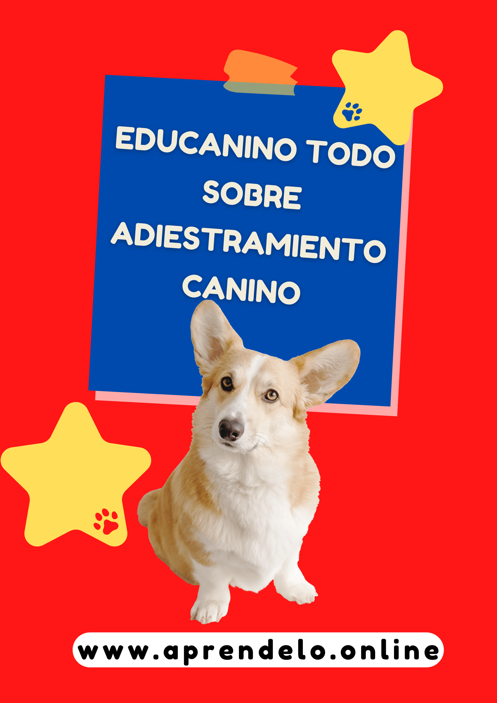 Image Educanino Todo sobre adiestramiento canino - masterwebpacks.com