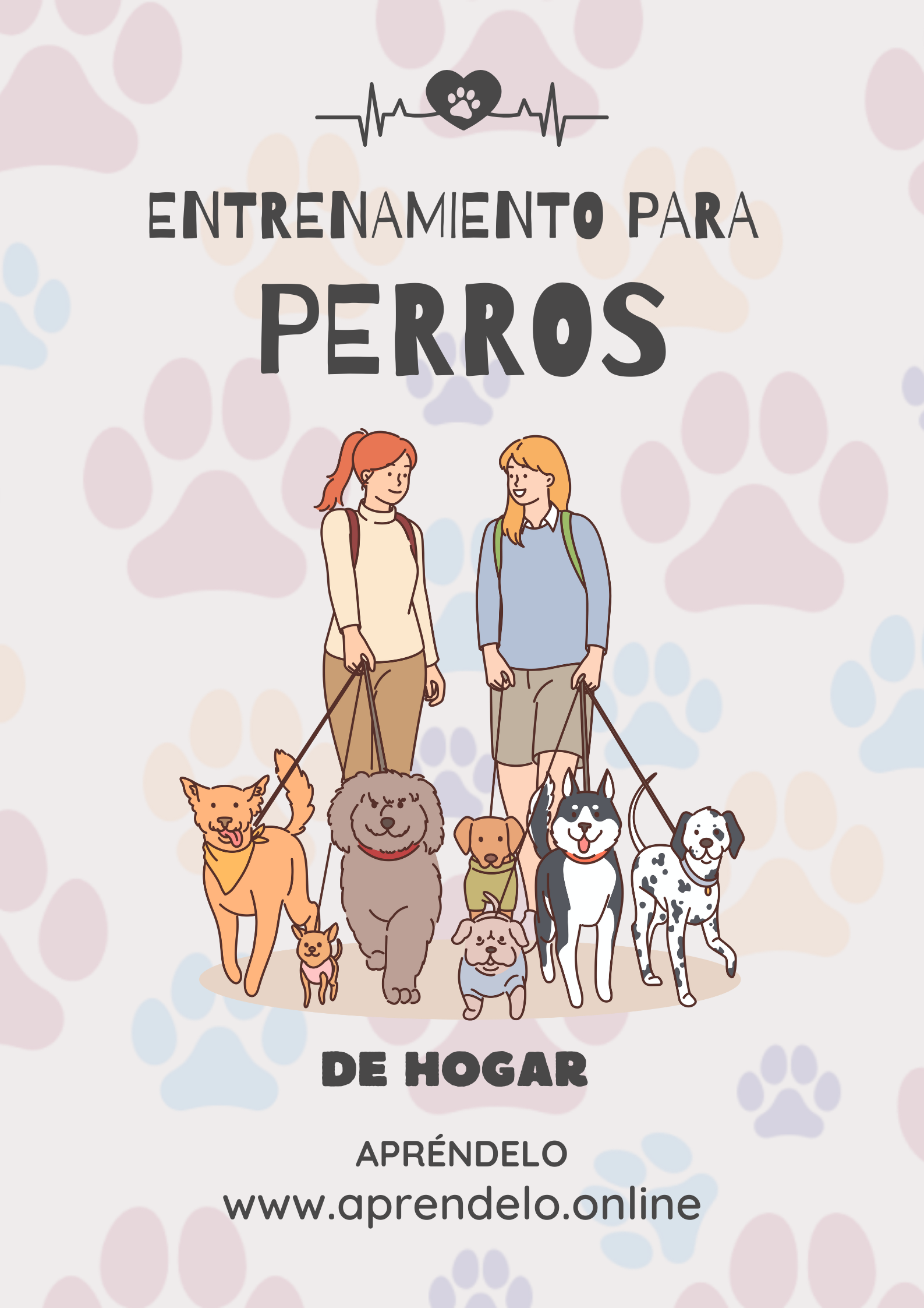 Image Entrenamiento para perros de hogar - masterwebpacks.com