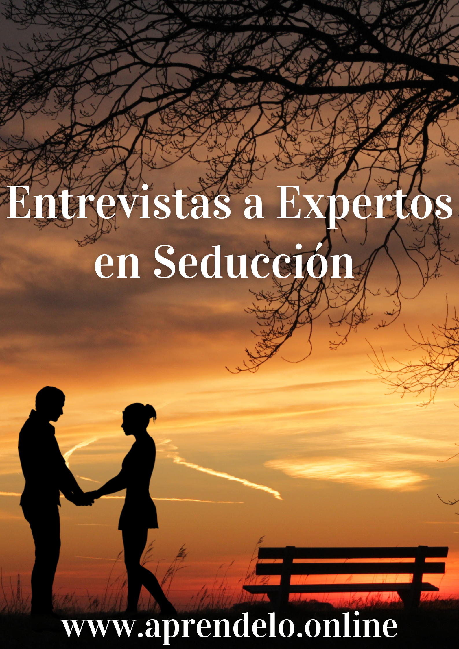 Image Entrevistas a Expertos en Seducción