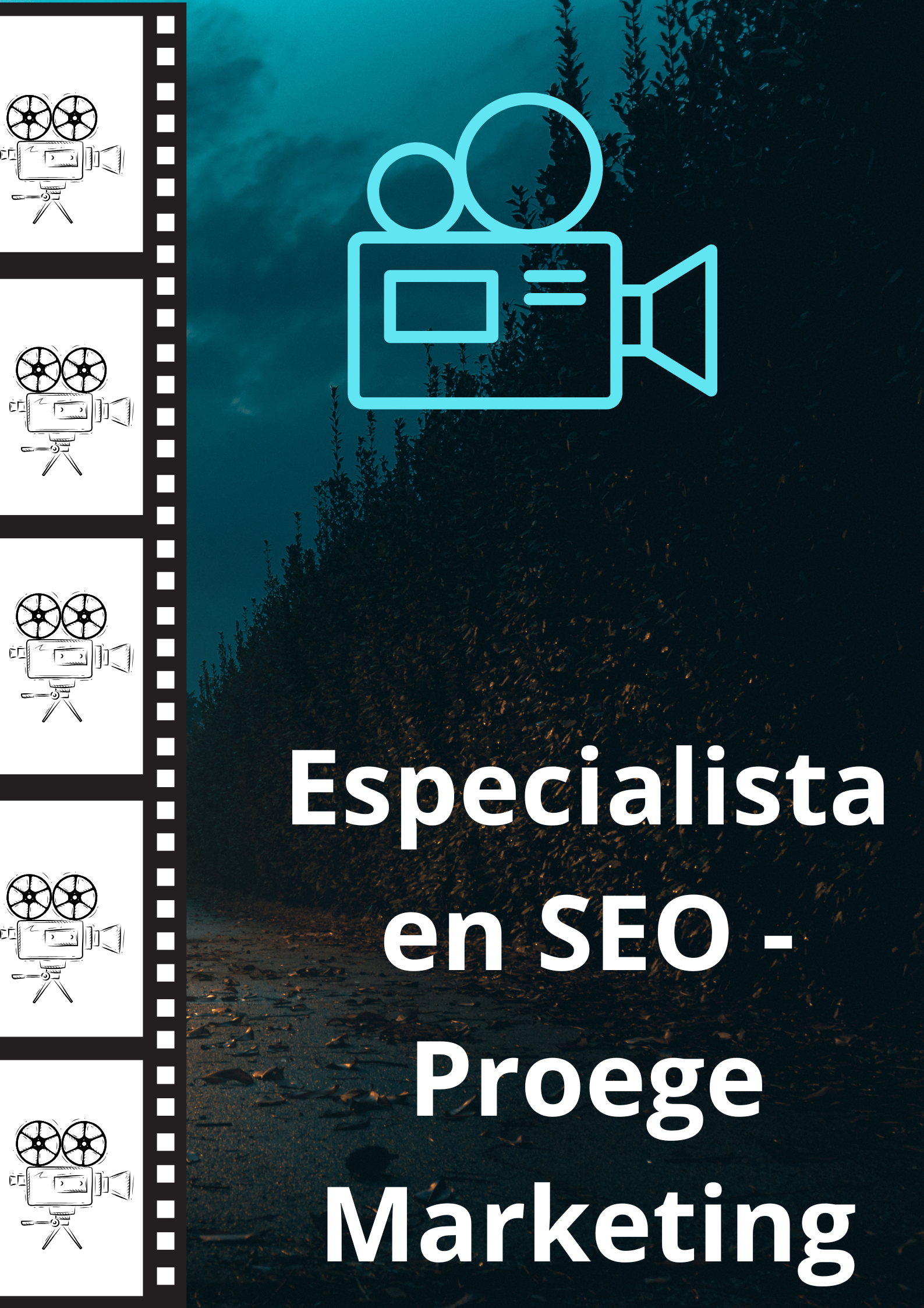 Image Especialista en SEO - Proege Marketing