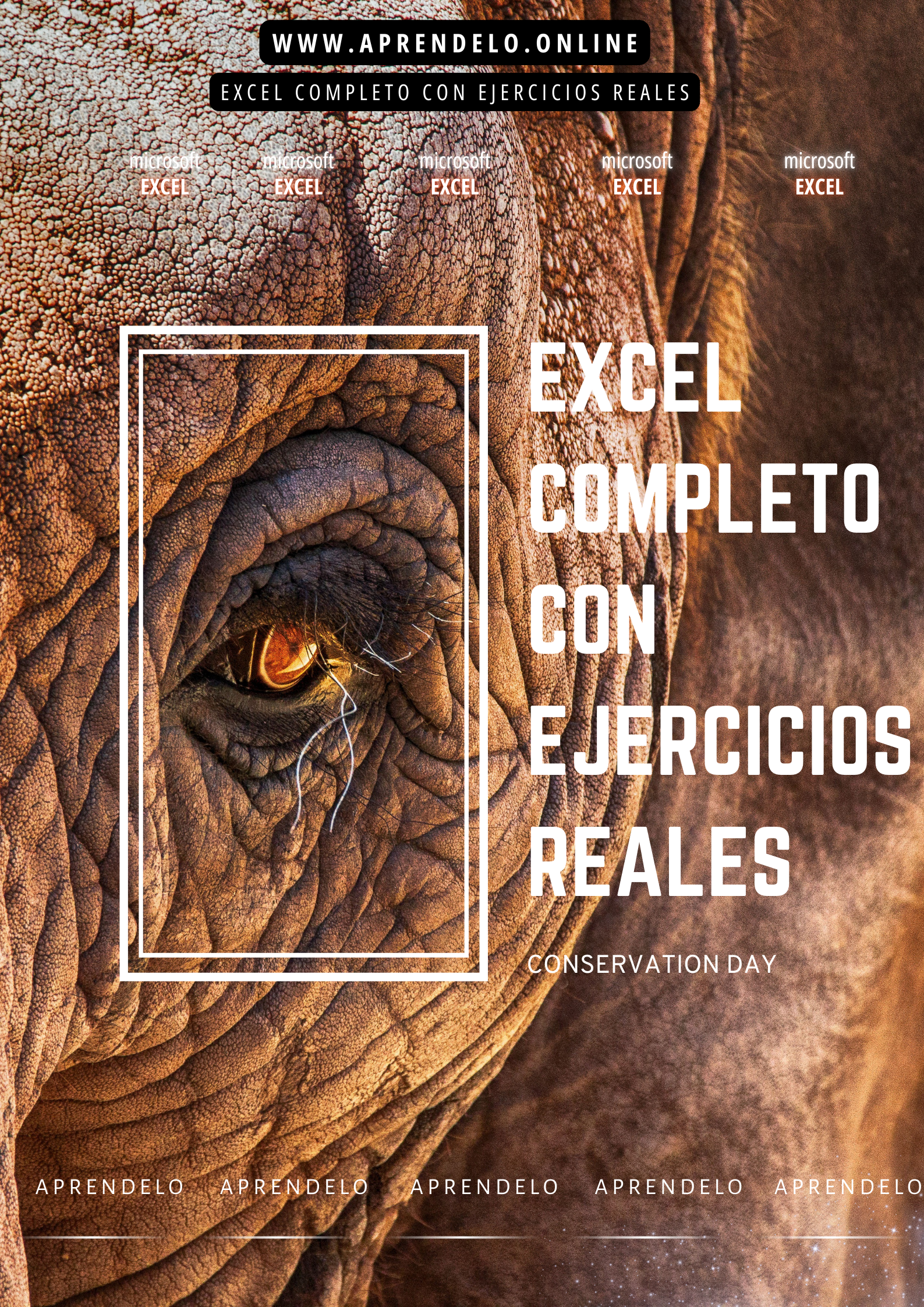 Image Excel completo con ejercicios reales
