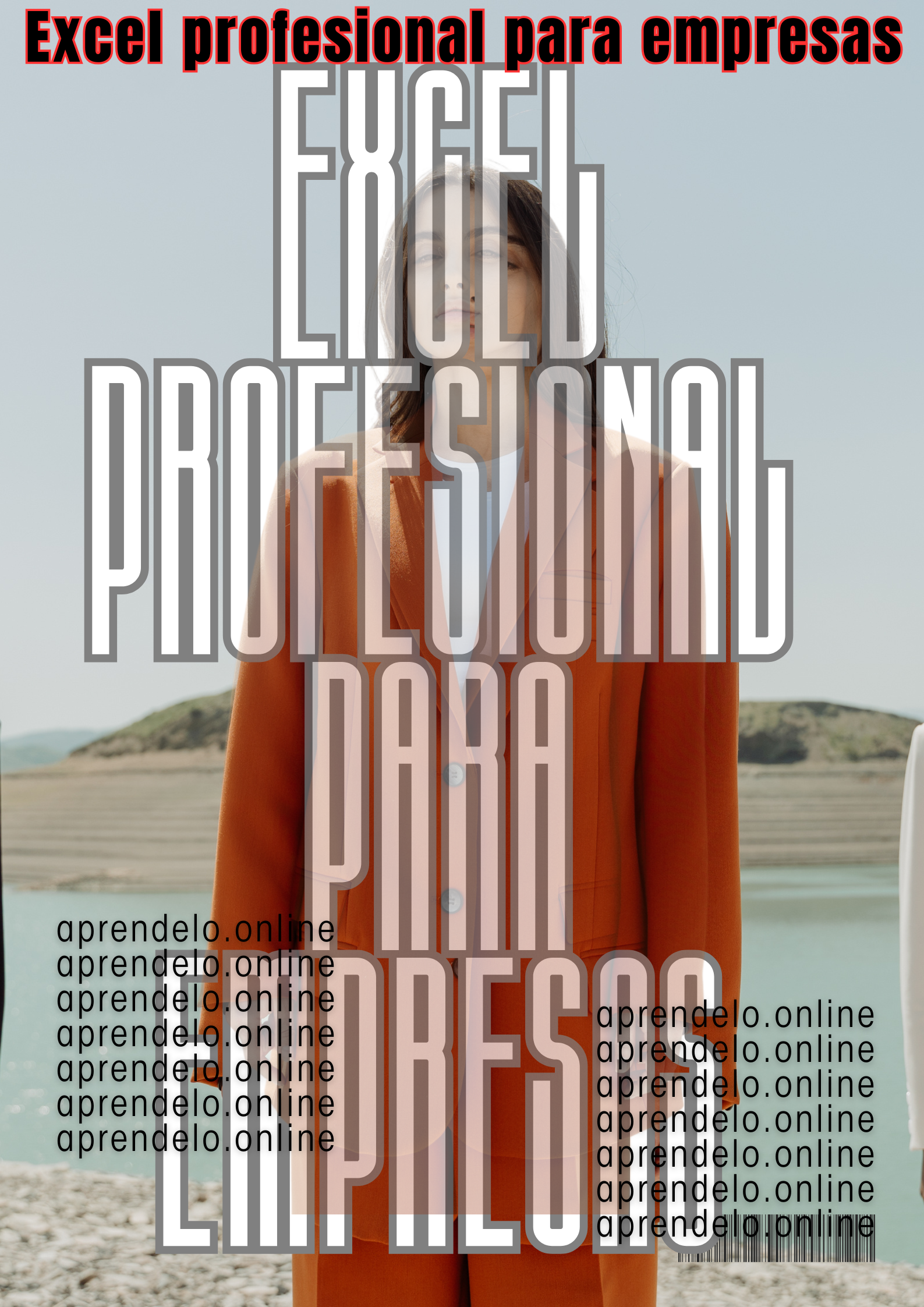 Image Excel profesional para empresas