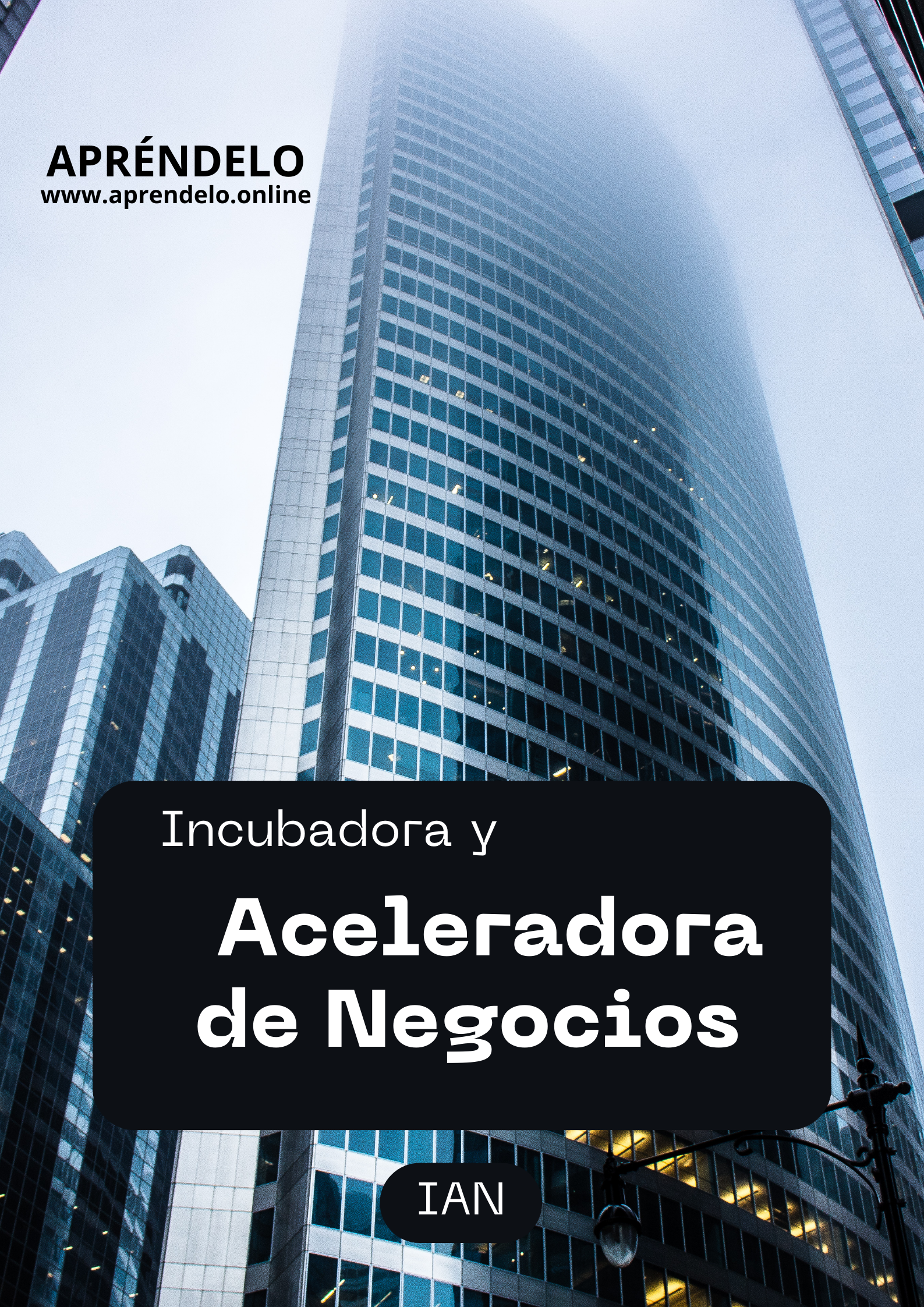 Image Incubadora y Aceleradora de Negocios IAN