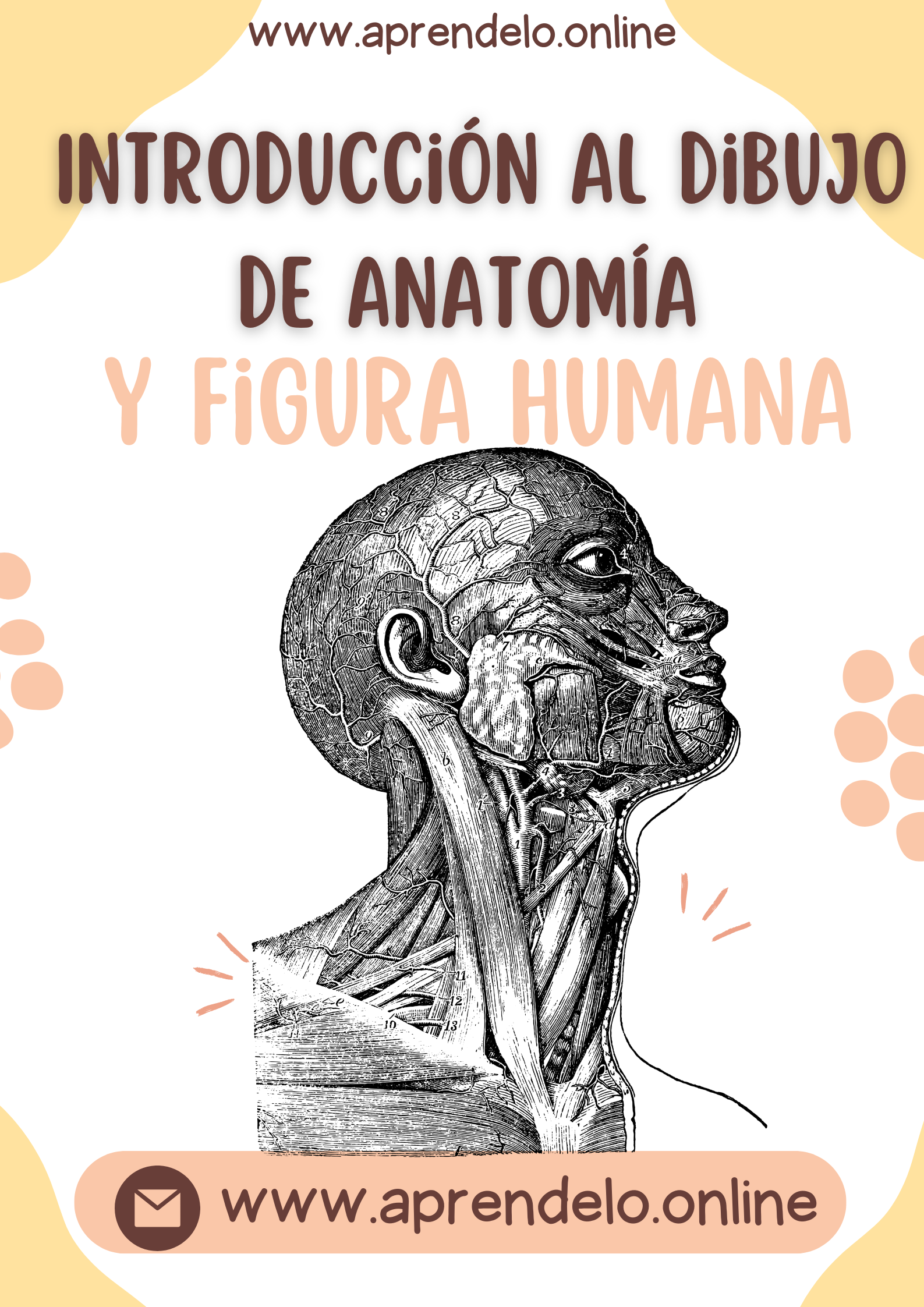 Image Introducción al dibujo de Anatomía y figura humana