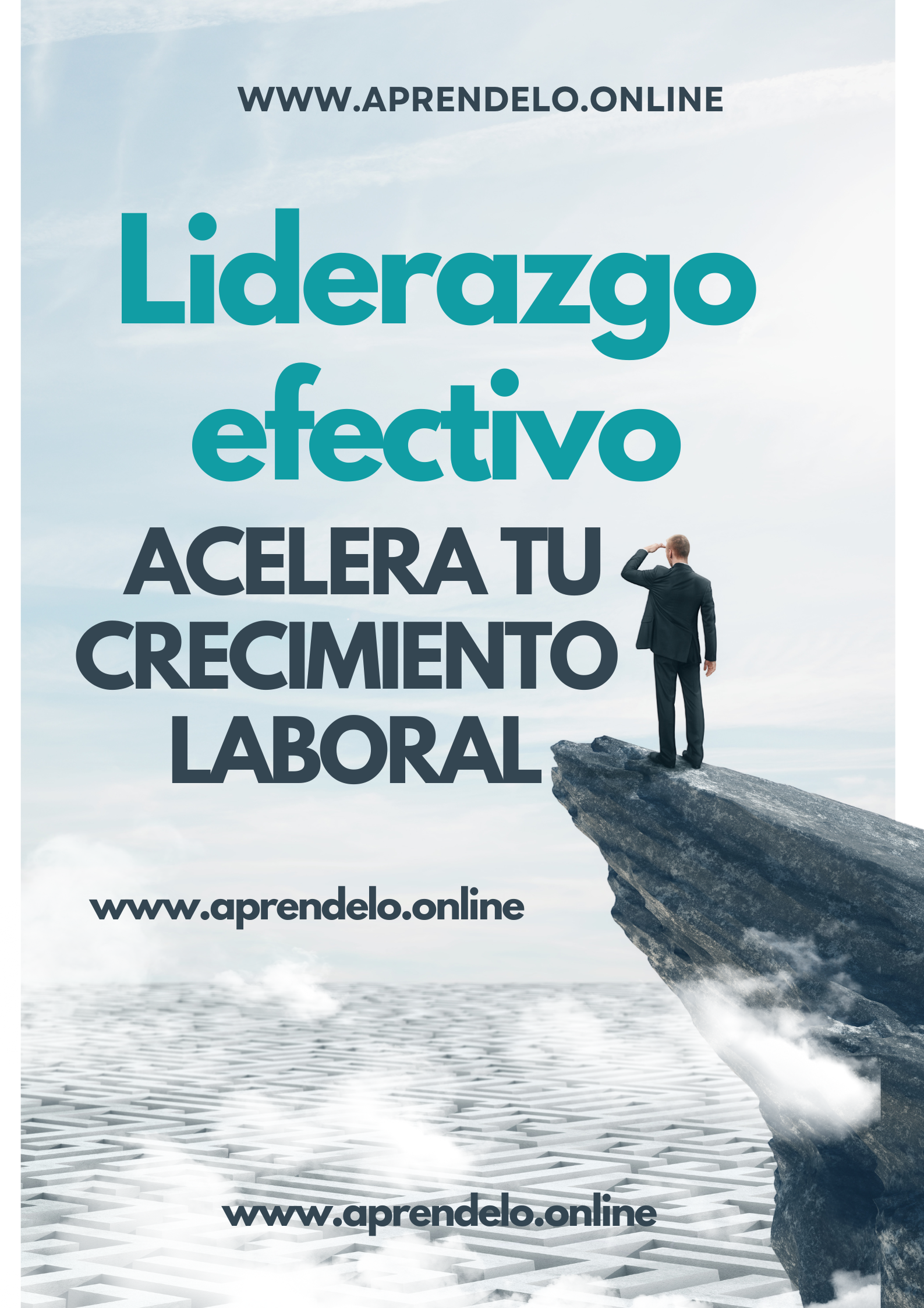 Image Liderazgo efectivo Acelera tu crecimiento laboral