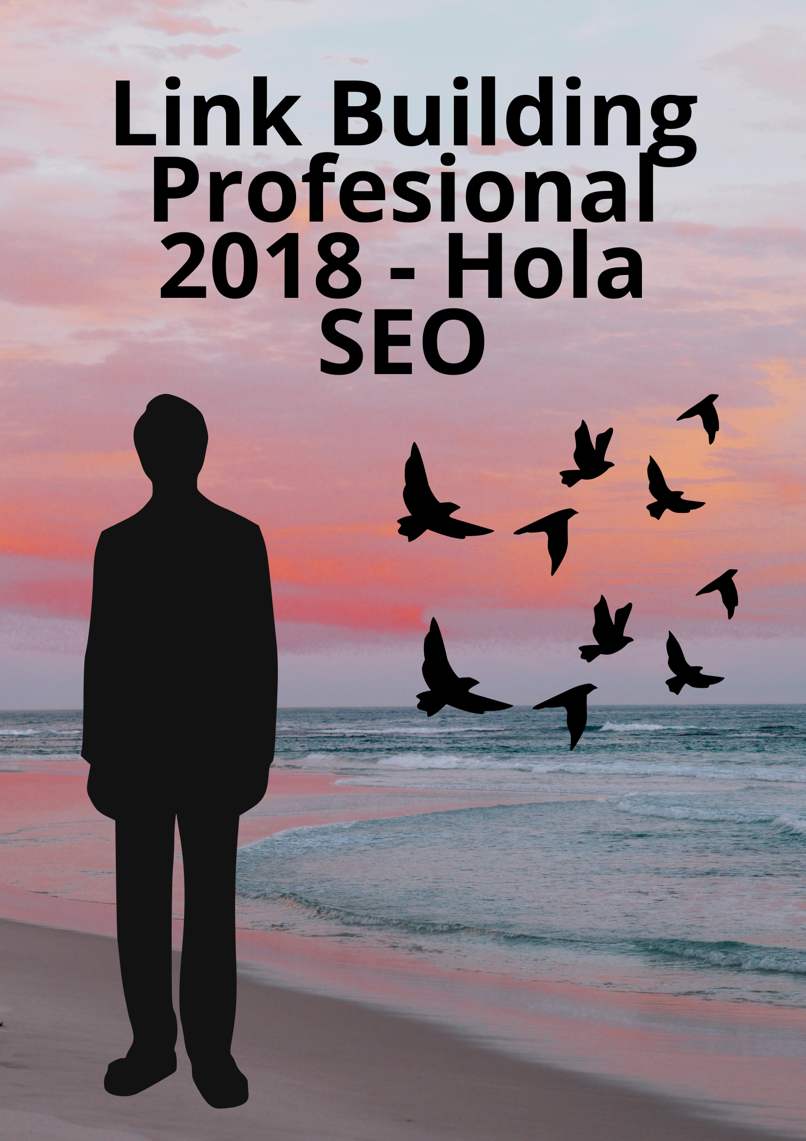 Image Link Building Profesional 2018 - Hola SEO