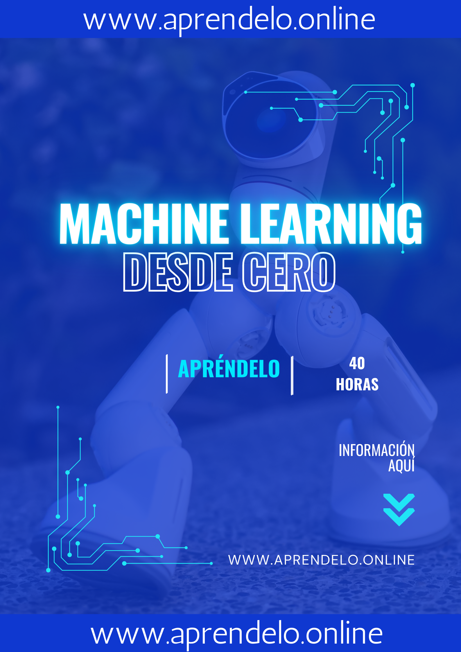 Image Machine Learning desde cero - masterwebpacks.com