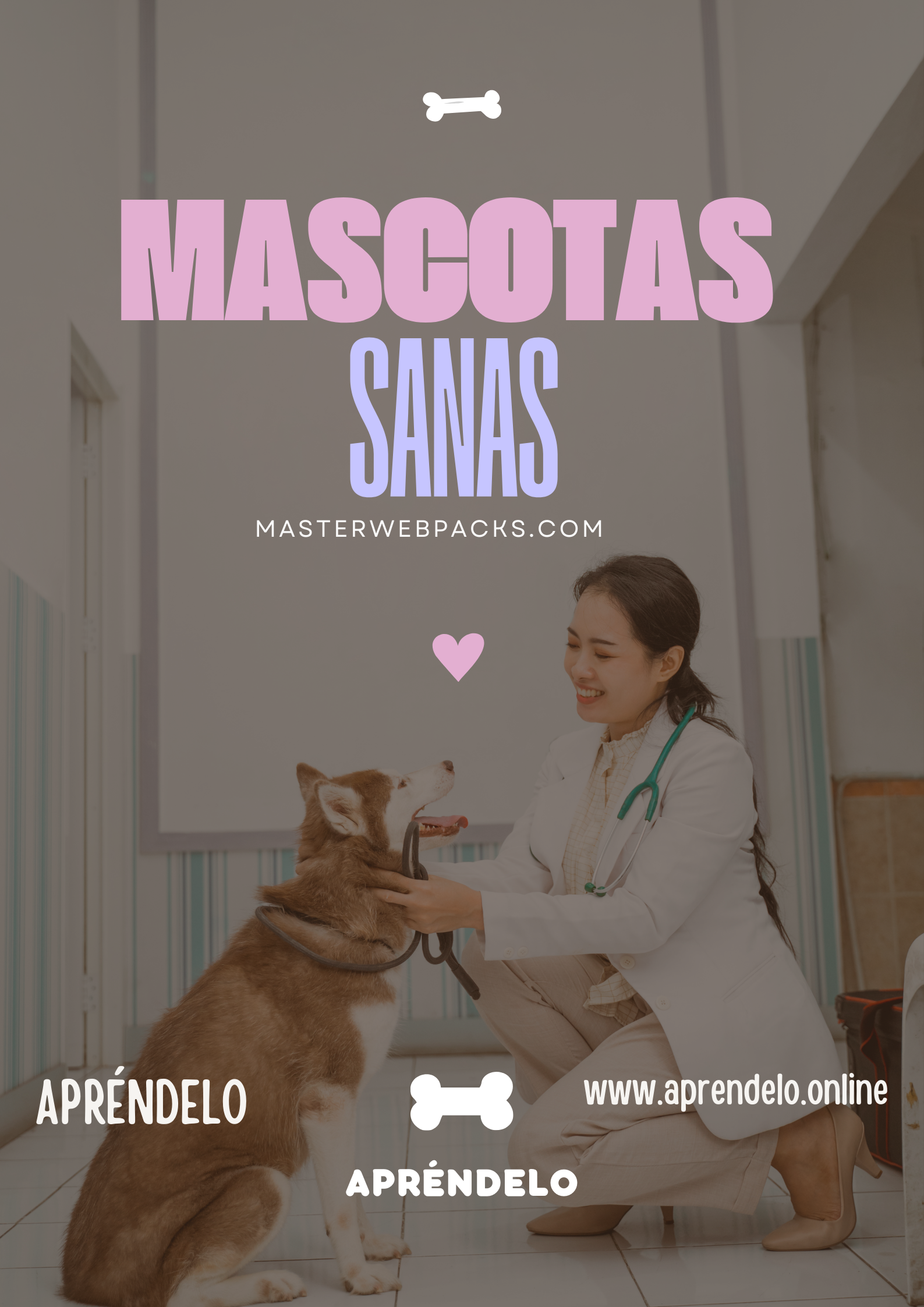 Image Mascotas sanas - masterwebpacks.com