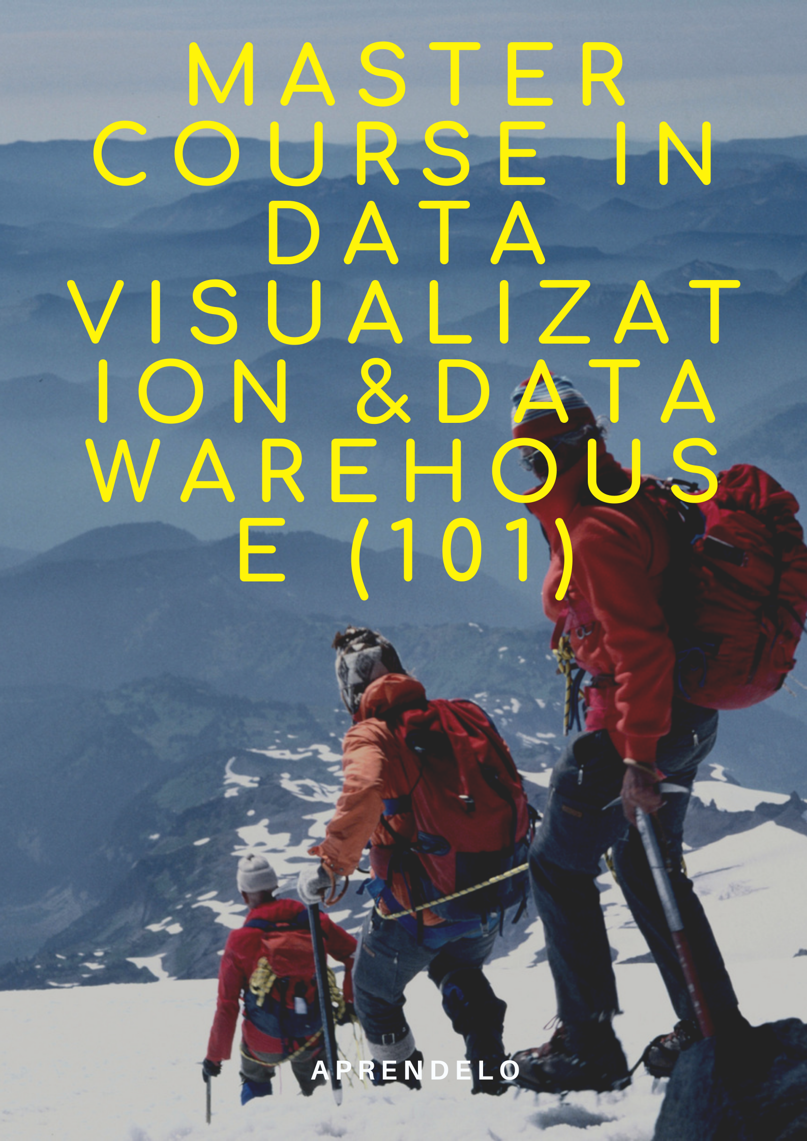 Image Master Course in Data Visualization &Data Warehouse (101)