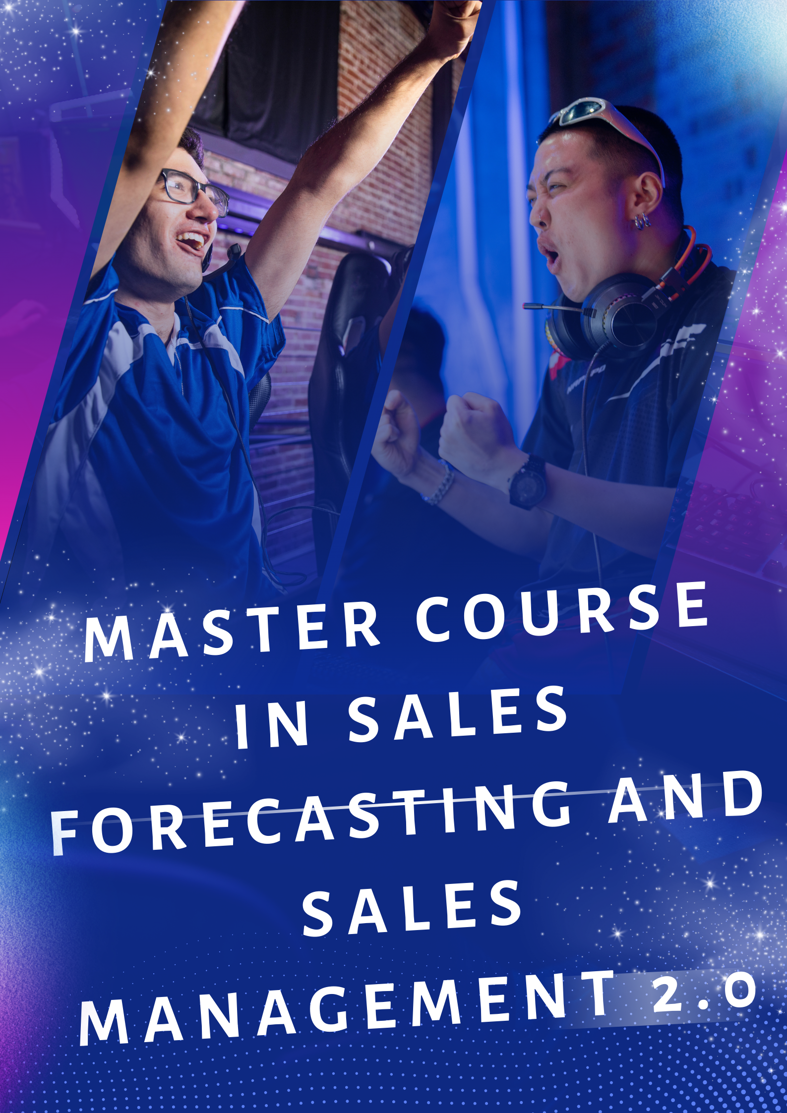 Image Master Course in Sales Forecasting and Sales management 2.0