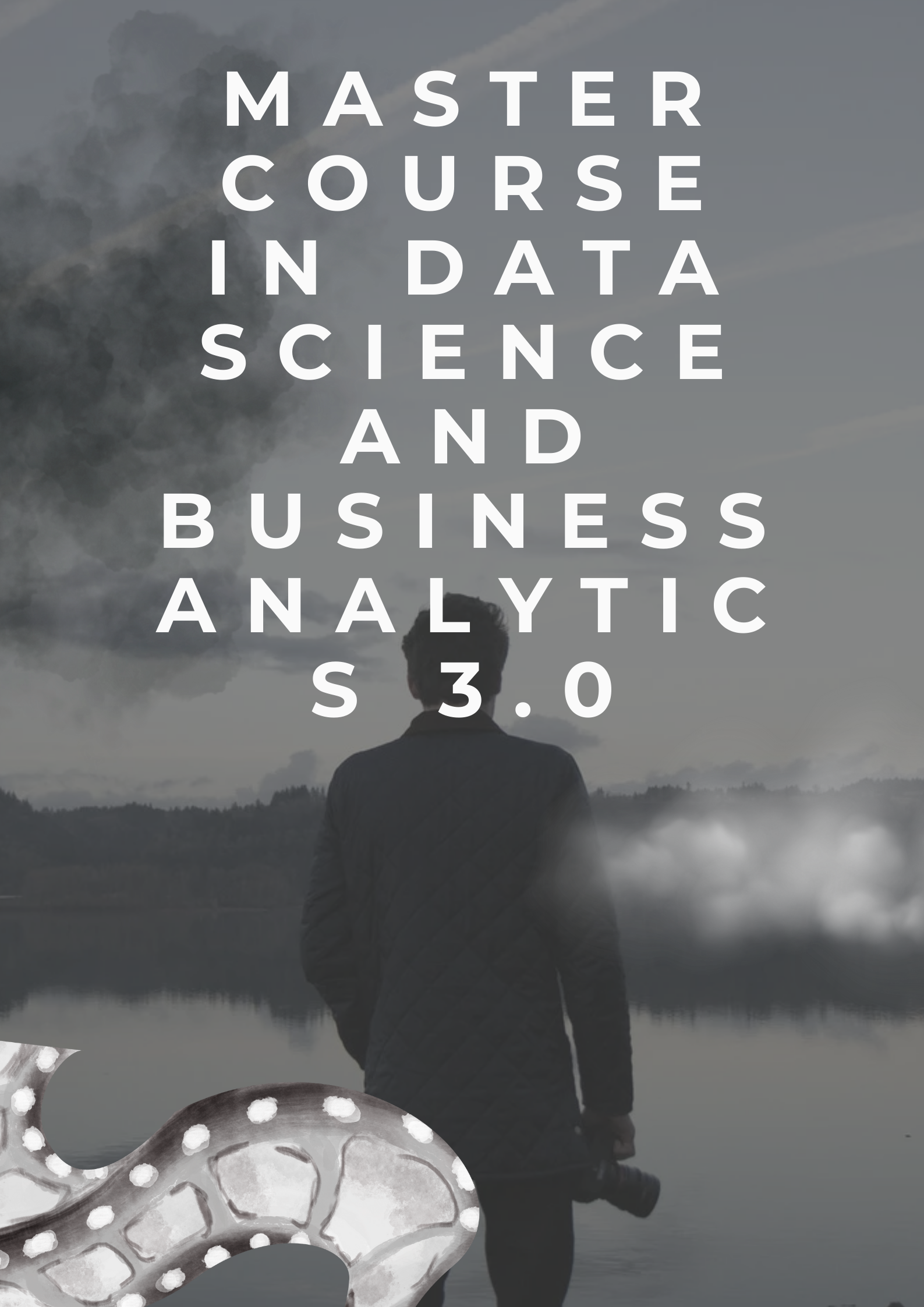 Image Master Course in data Science and Business Analytics 3.0