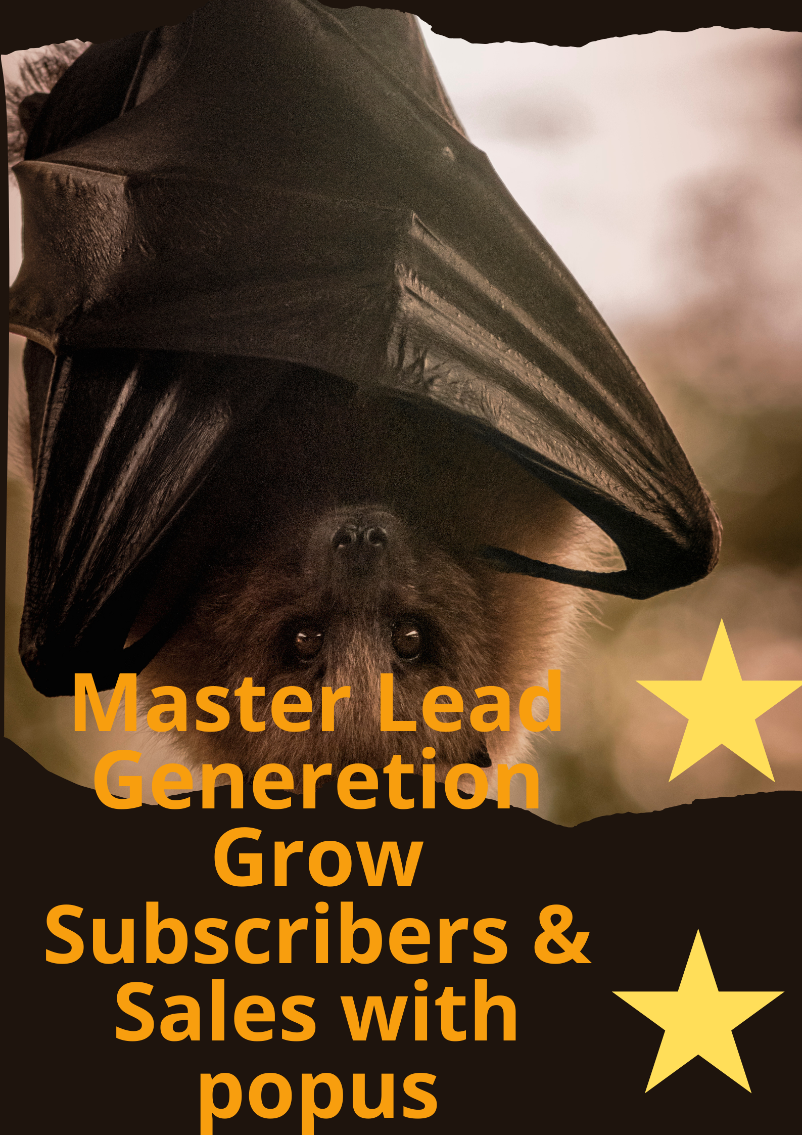 Image Master Lead Generetion Grow Subscribers & Sales with popus