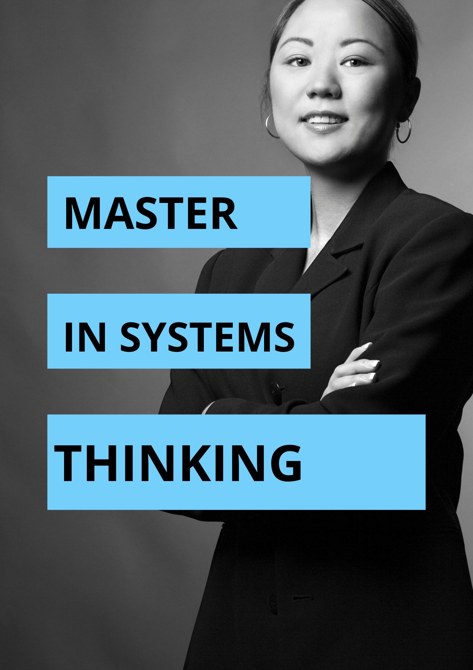 Image Master in Systems Thinking