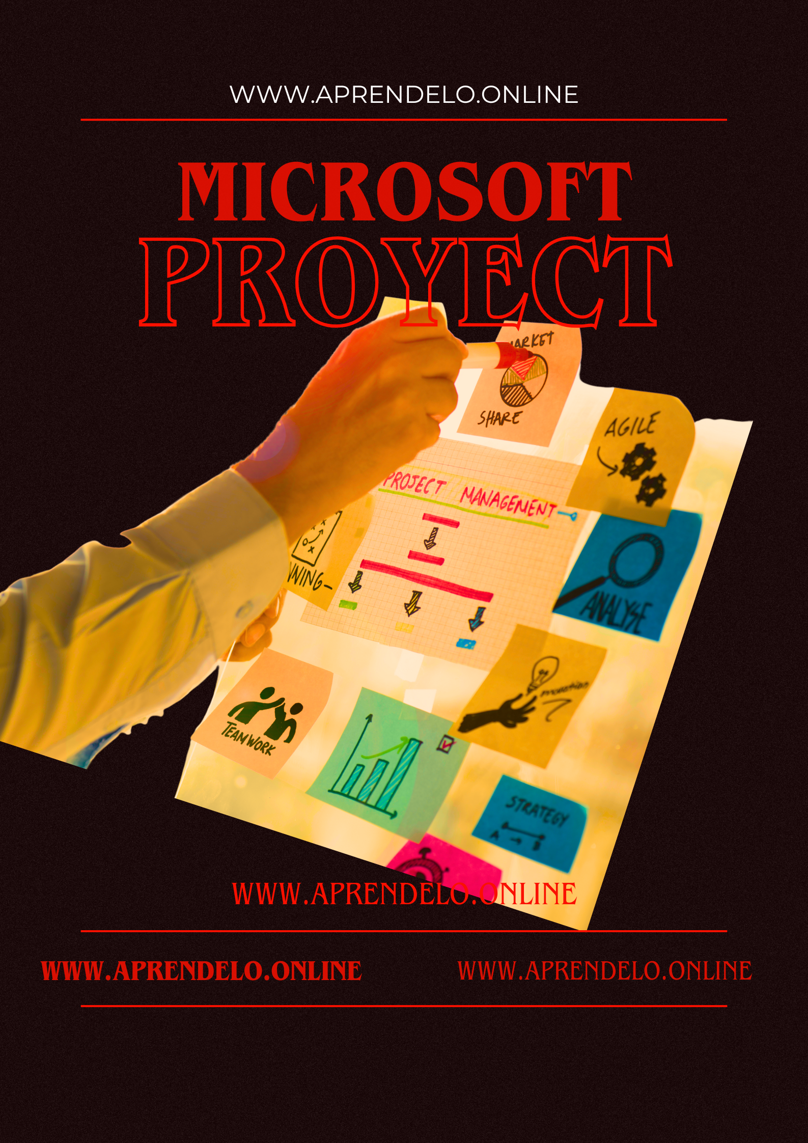 Image Microsoft Proyect