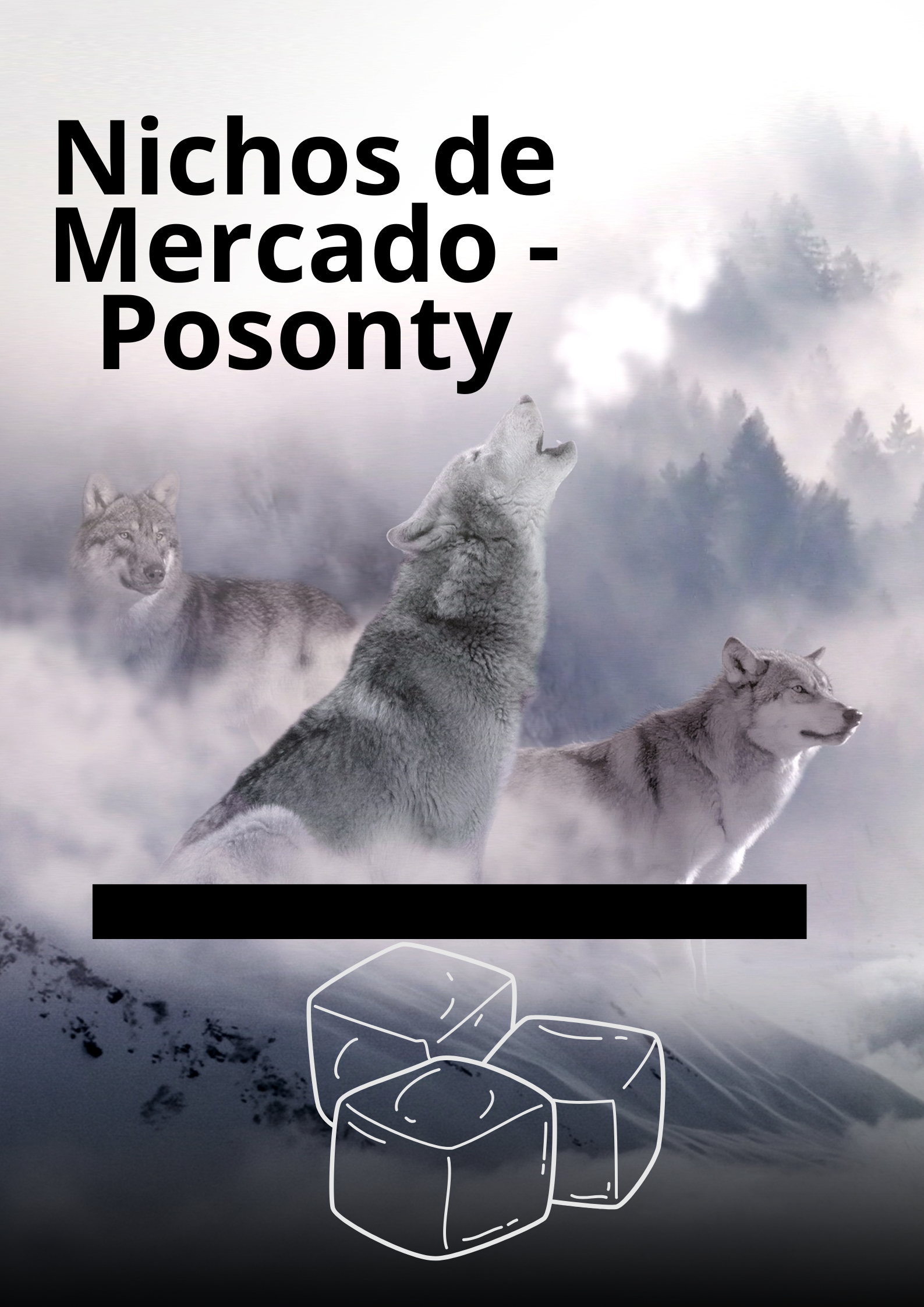 Image Nichos de Mercado - Posonty