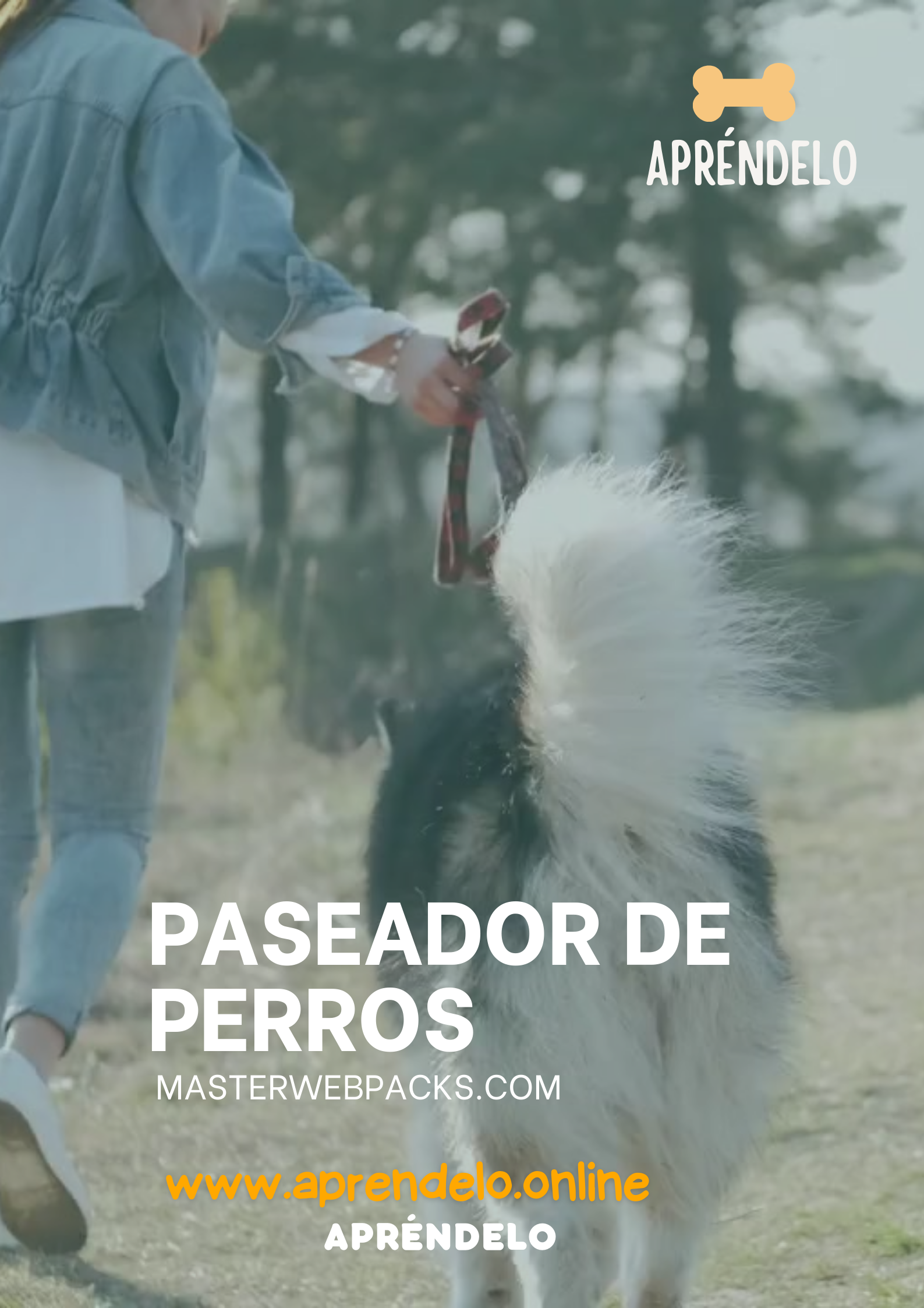 Image Paseador de Perros- masterwebpacks.com