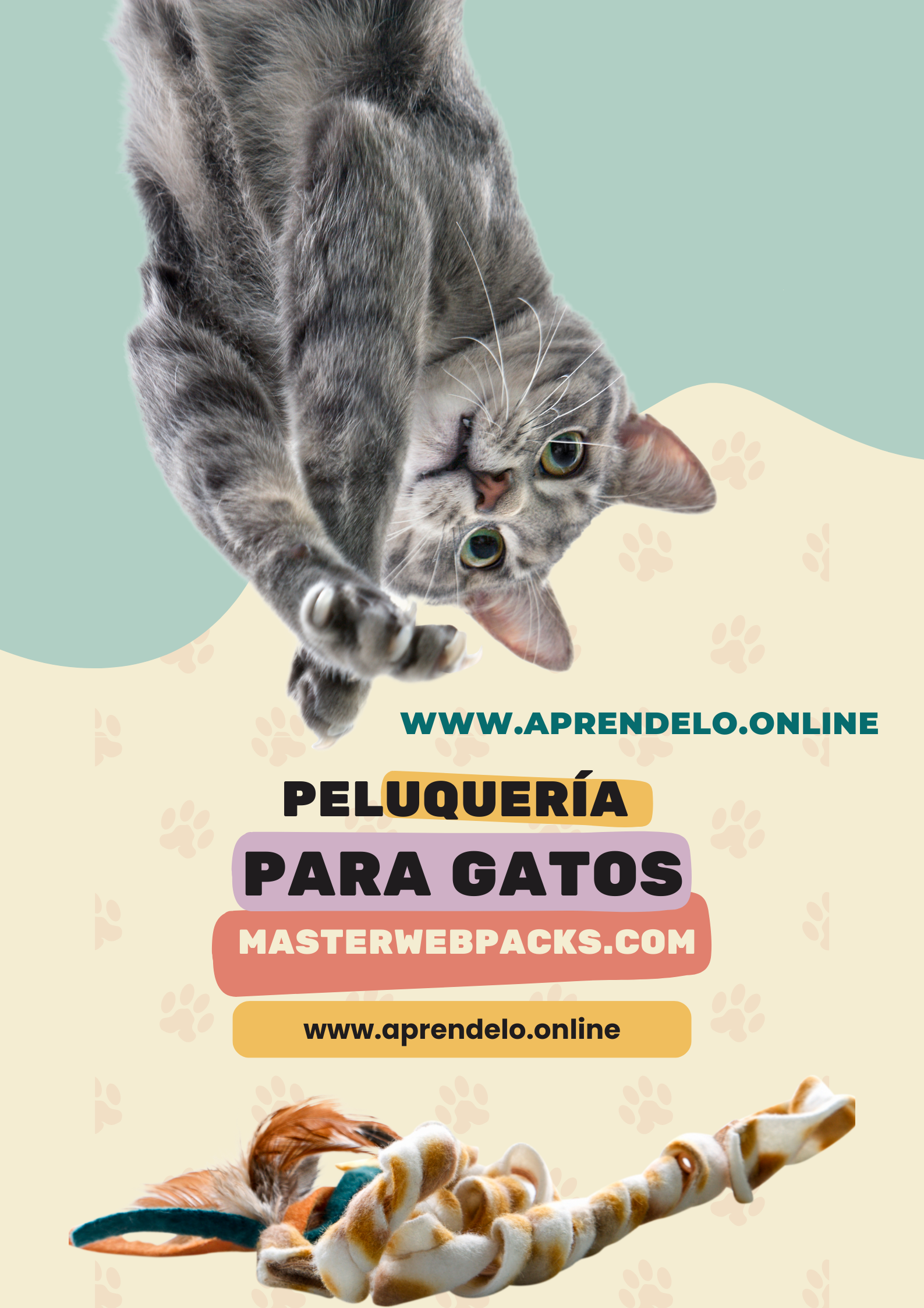 Image Peluquería para gatos - masterwebpacks.com