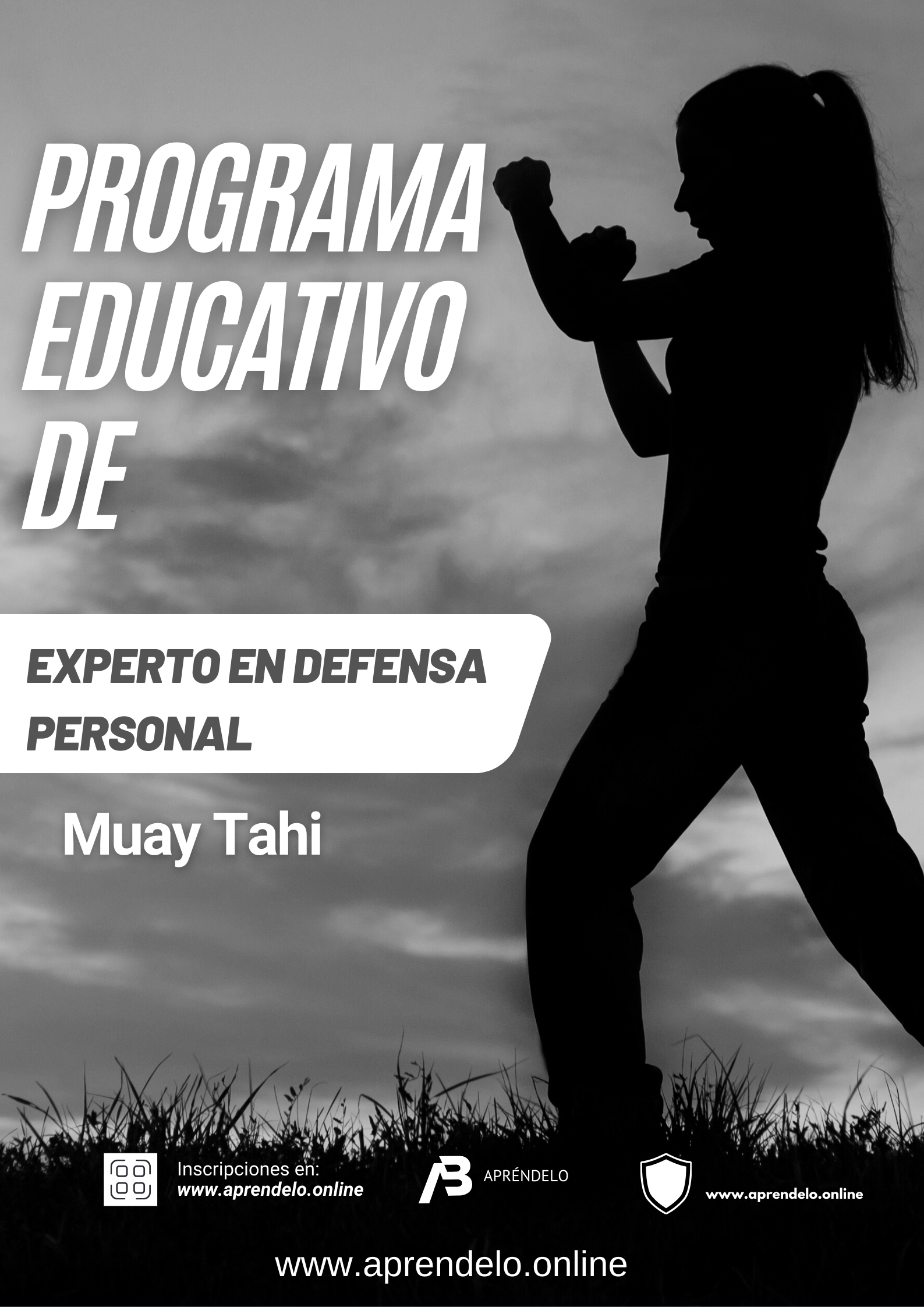 Image Programa Educativo de Experto en Defensa Personal, Muay Tahi