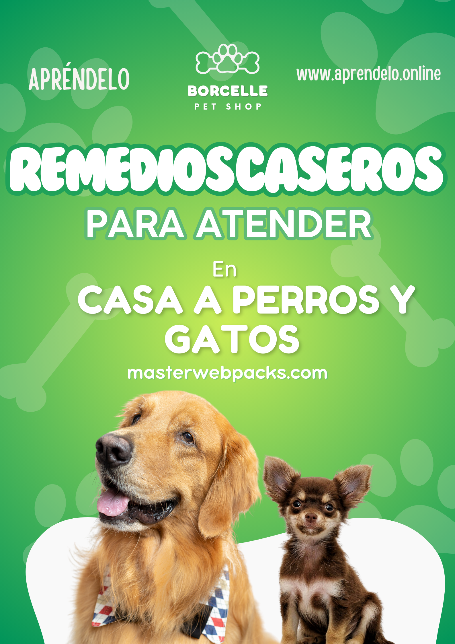 Image Remedios caseros para atender en casa a perros y gatos - masterwebpacks.com