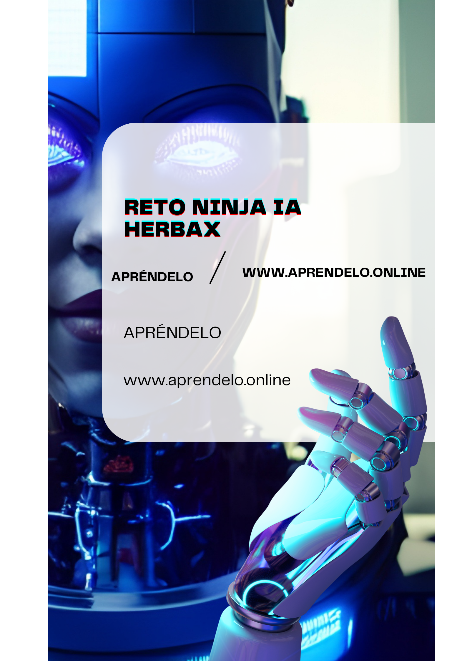 Image Reto ninja IA - Herbax