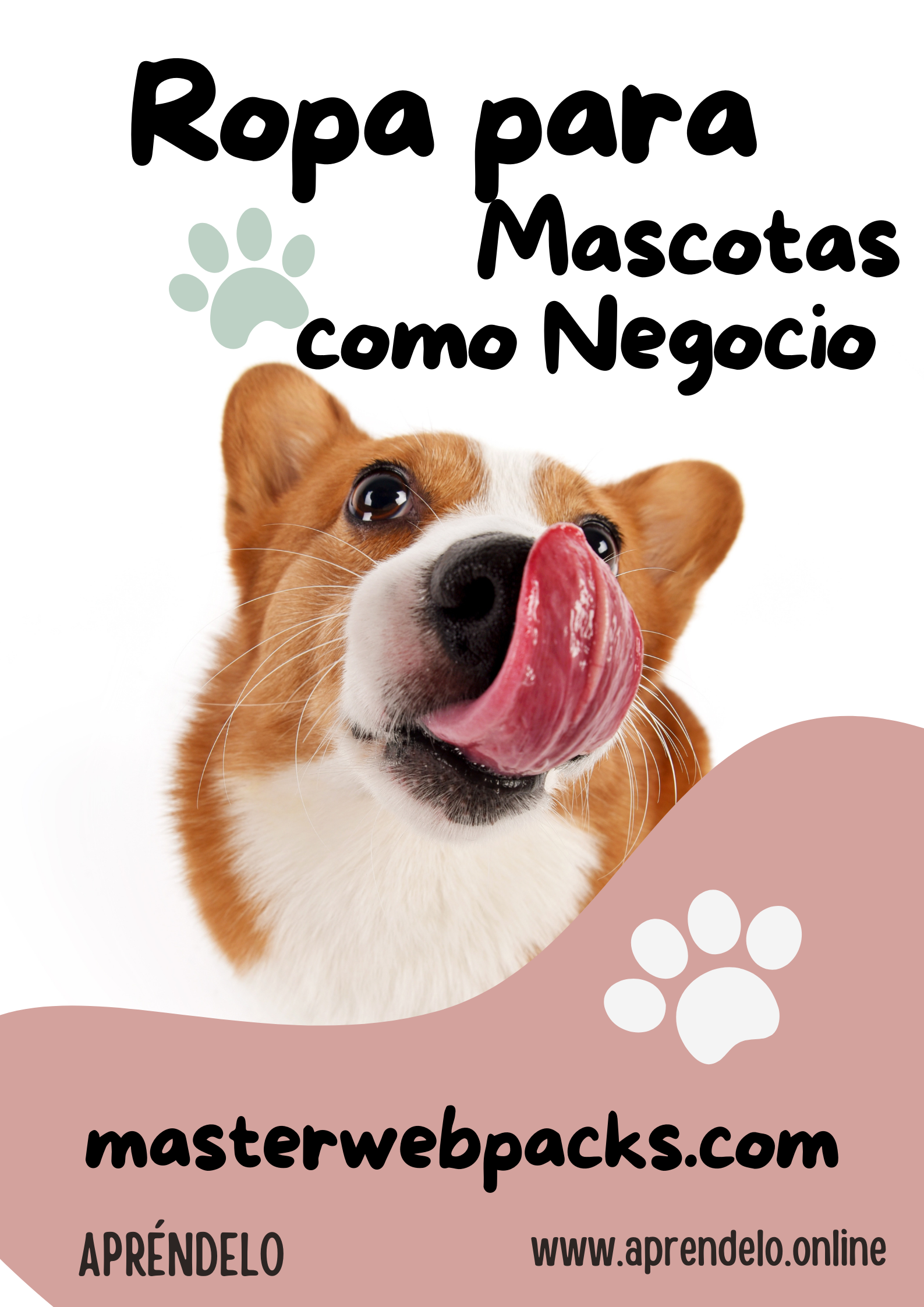 Image Ropa para Mascotas como Negocio - masterwebpacks.com