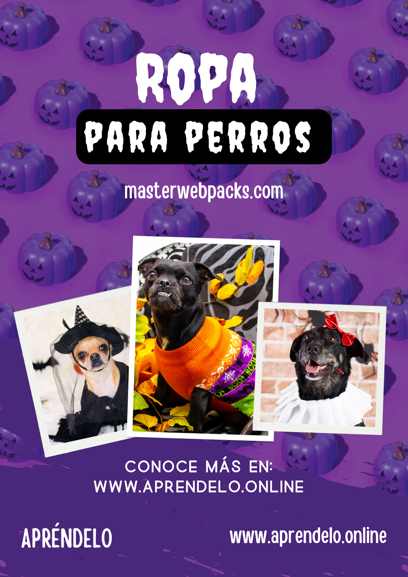 Image Ropa para perros - masterwebpacks.com